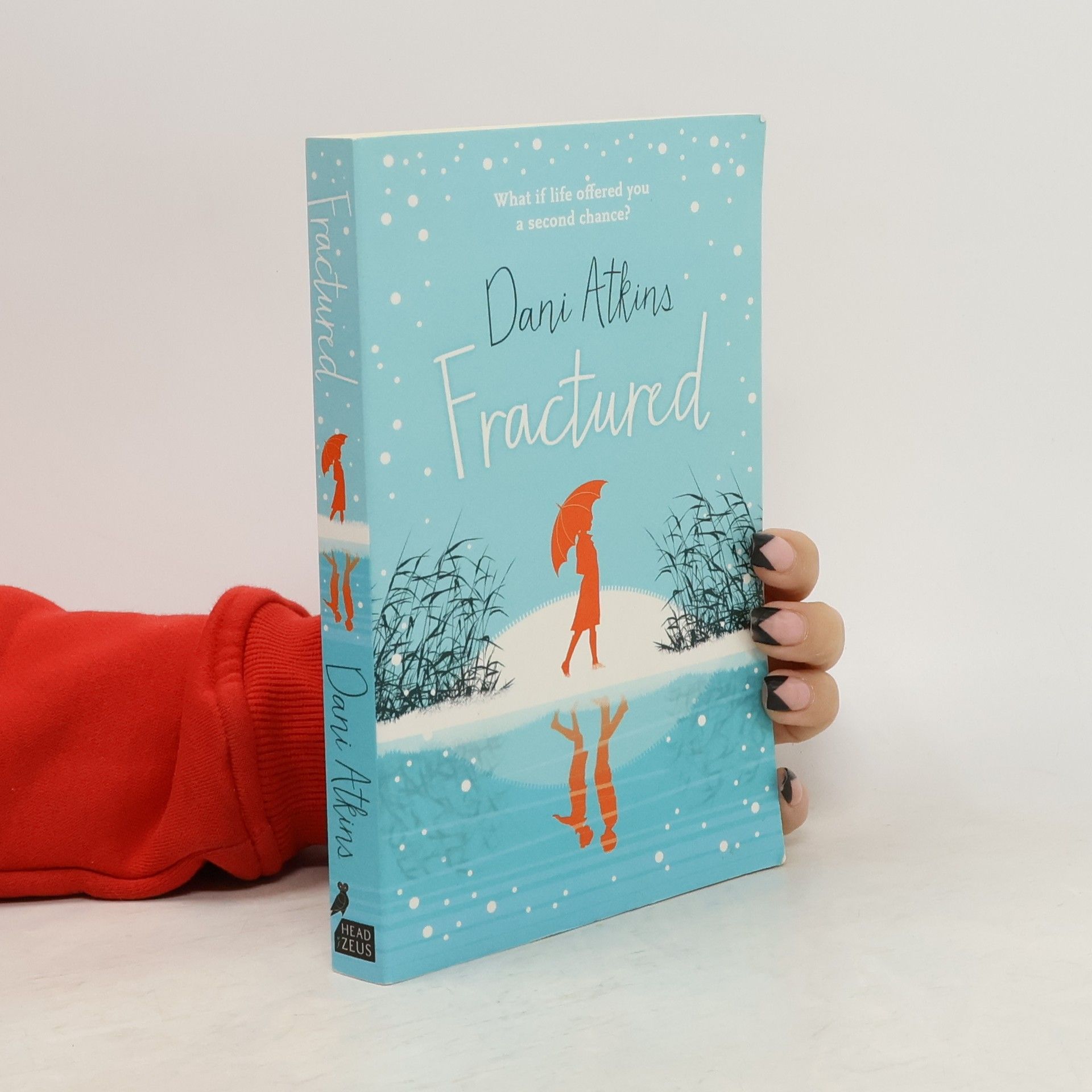 Dani Atkins Fractured