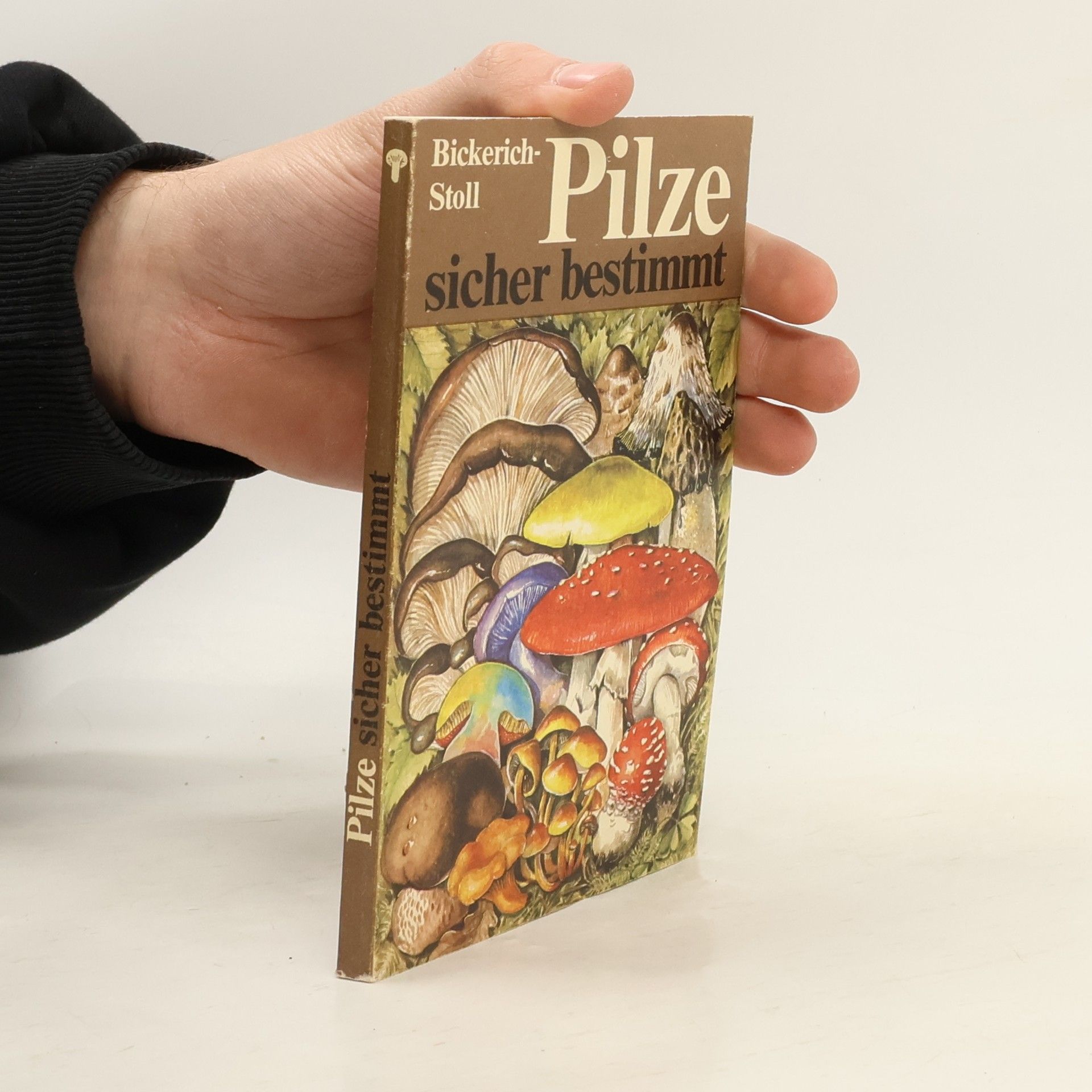 Katharina Bickerich Stoll Pilze sicher bestimmt