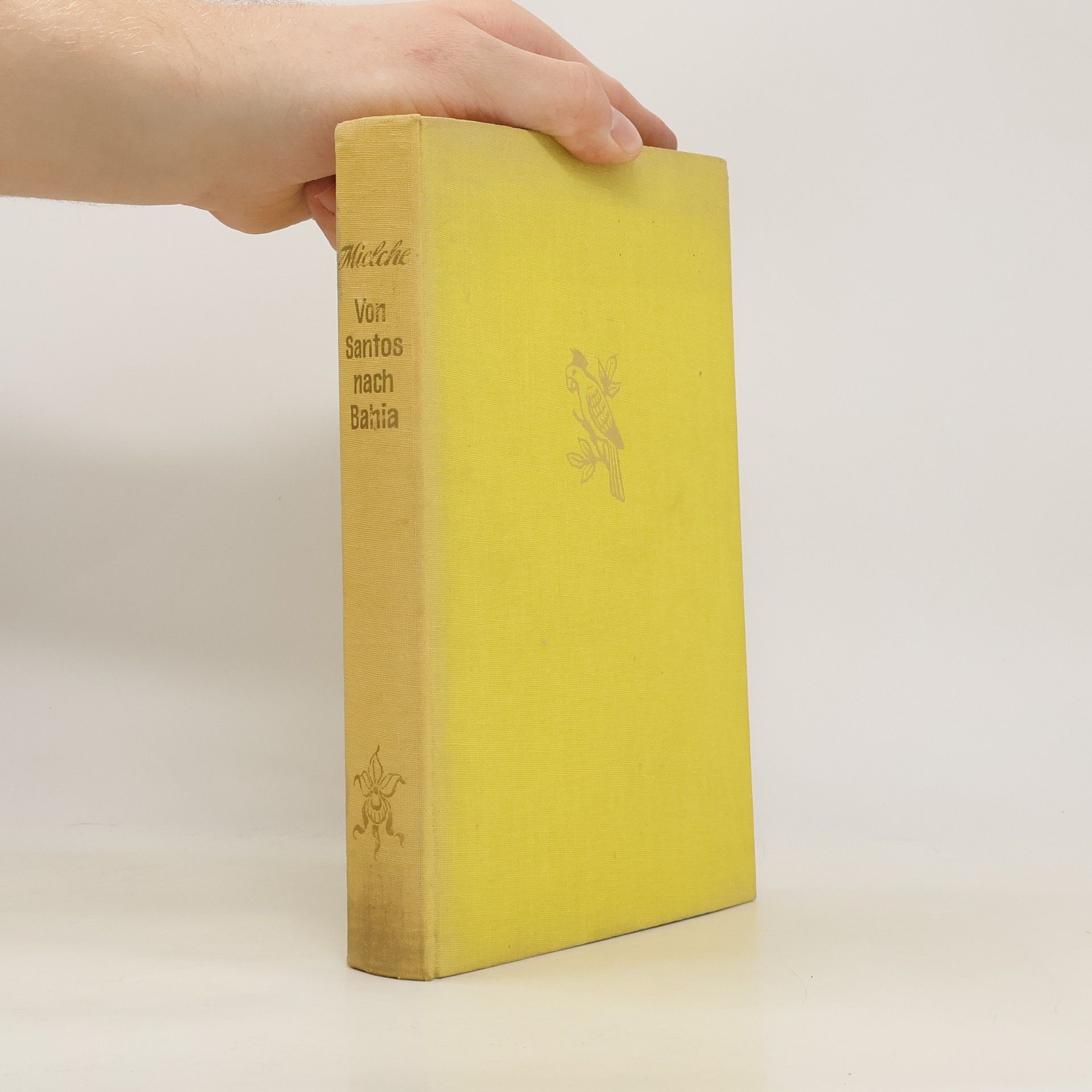 Hakon Mielche Von Santos nach Bahia