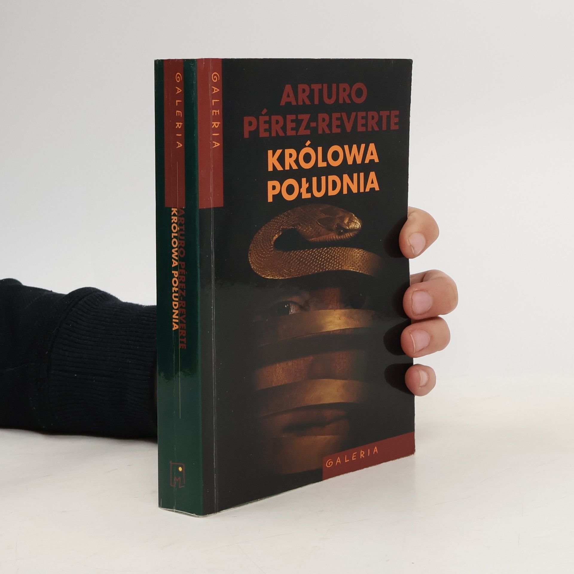 Arturo Pérez Reverte Królowa Południa