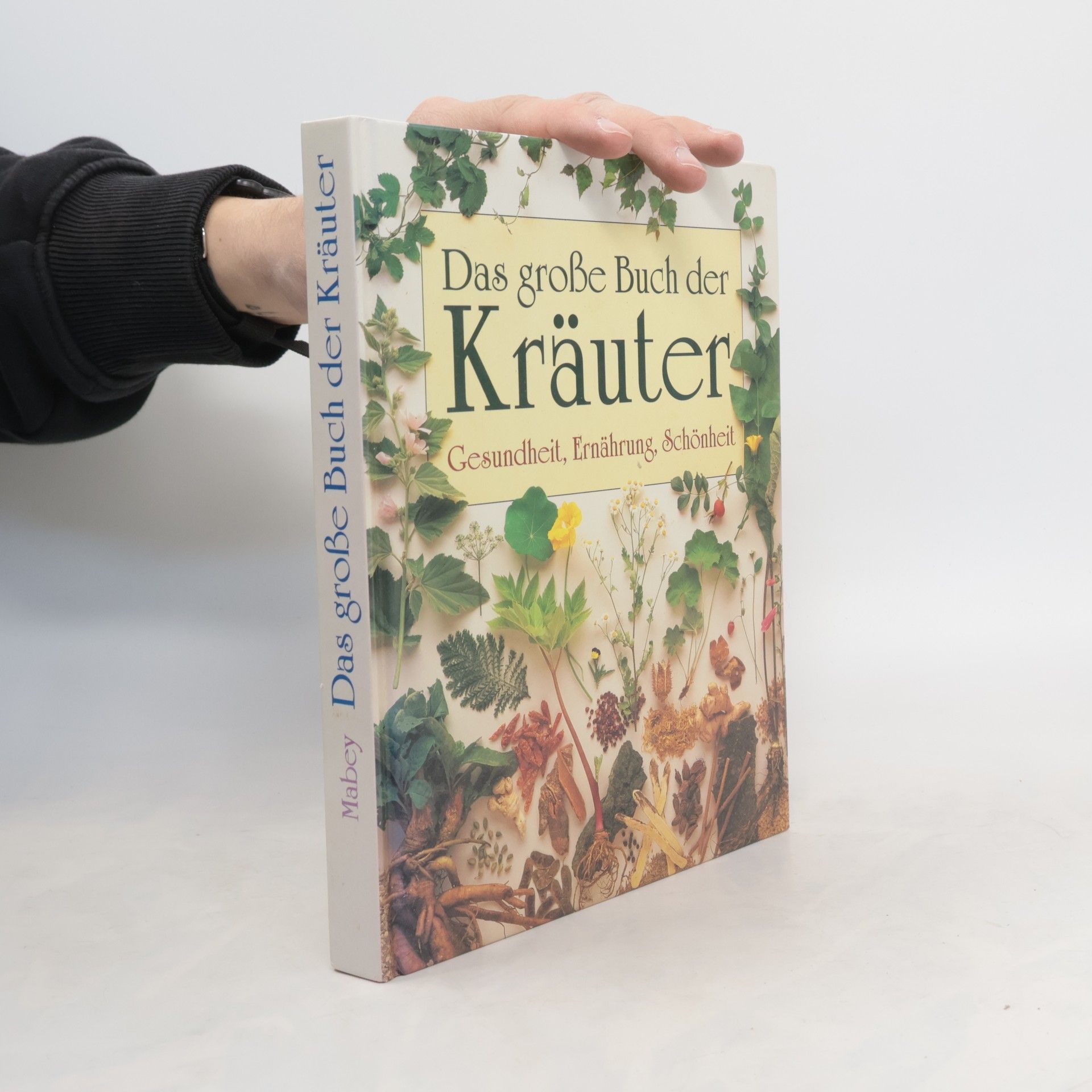 Autores varios Das grosse Buch der Kräuter