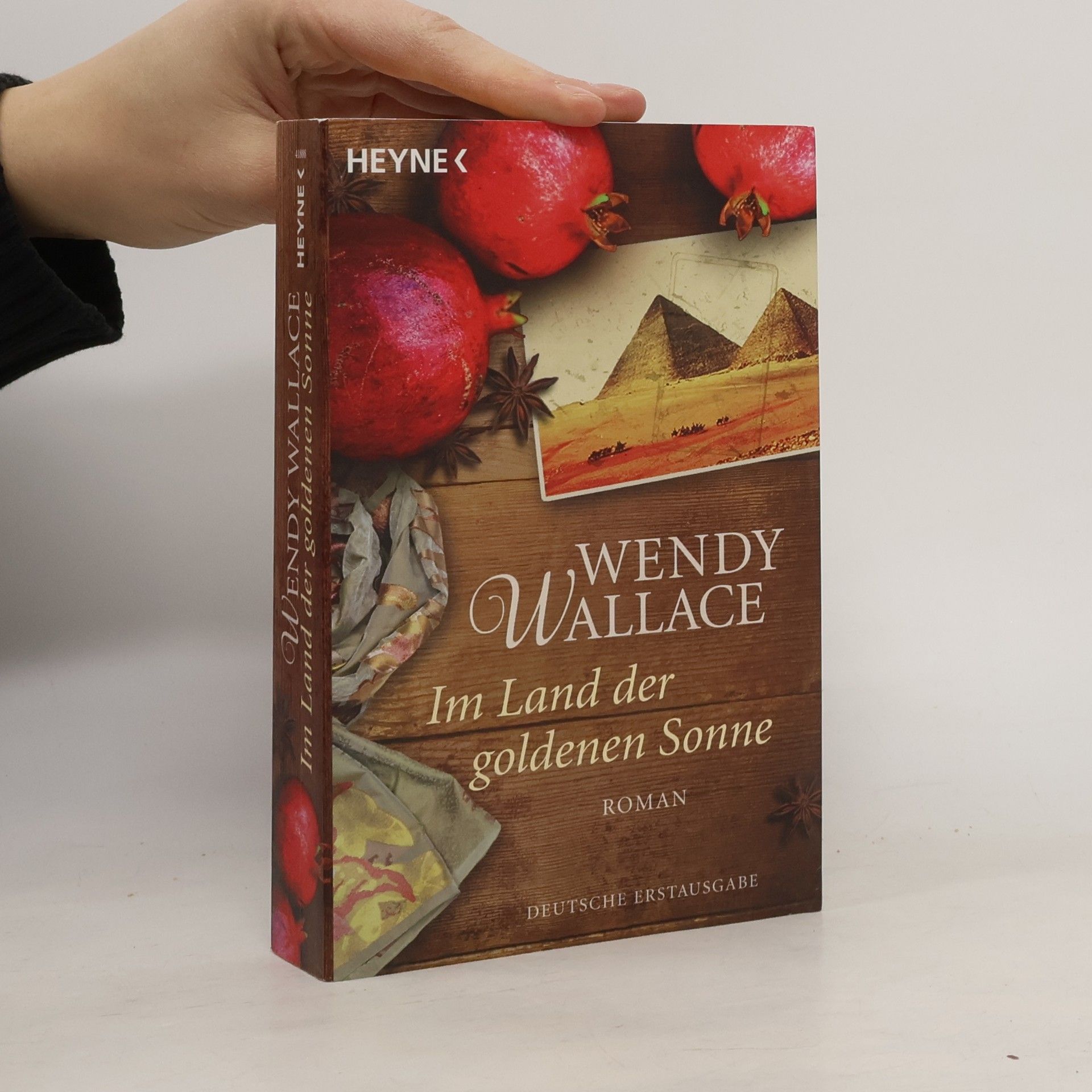 Wendy Wallace Im Land der goldenen Sonne