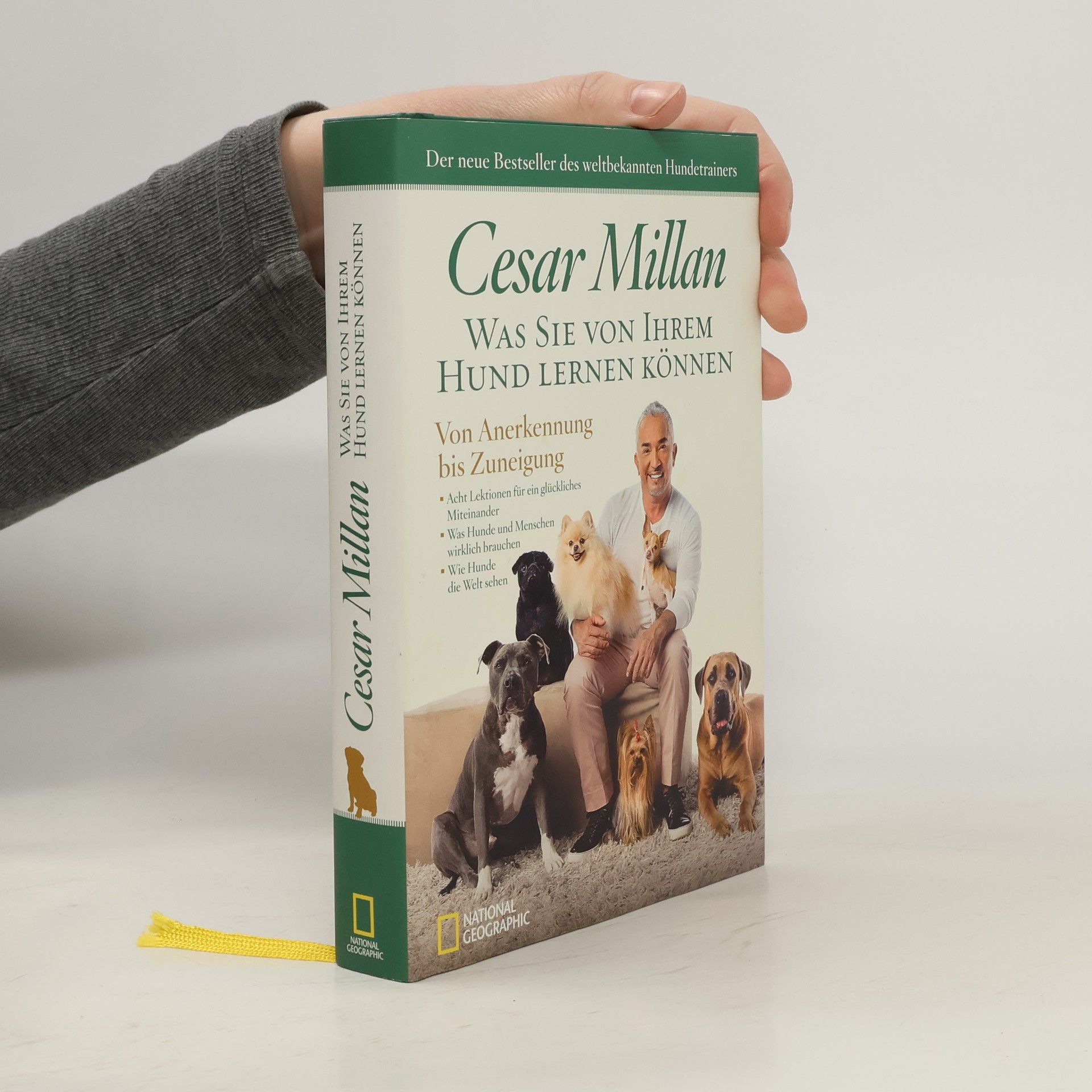 Cesar Millan Was Sie von Ihrem Hund lernen können