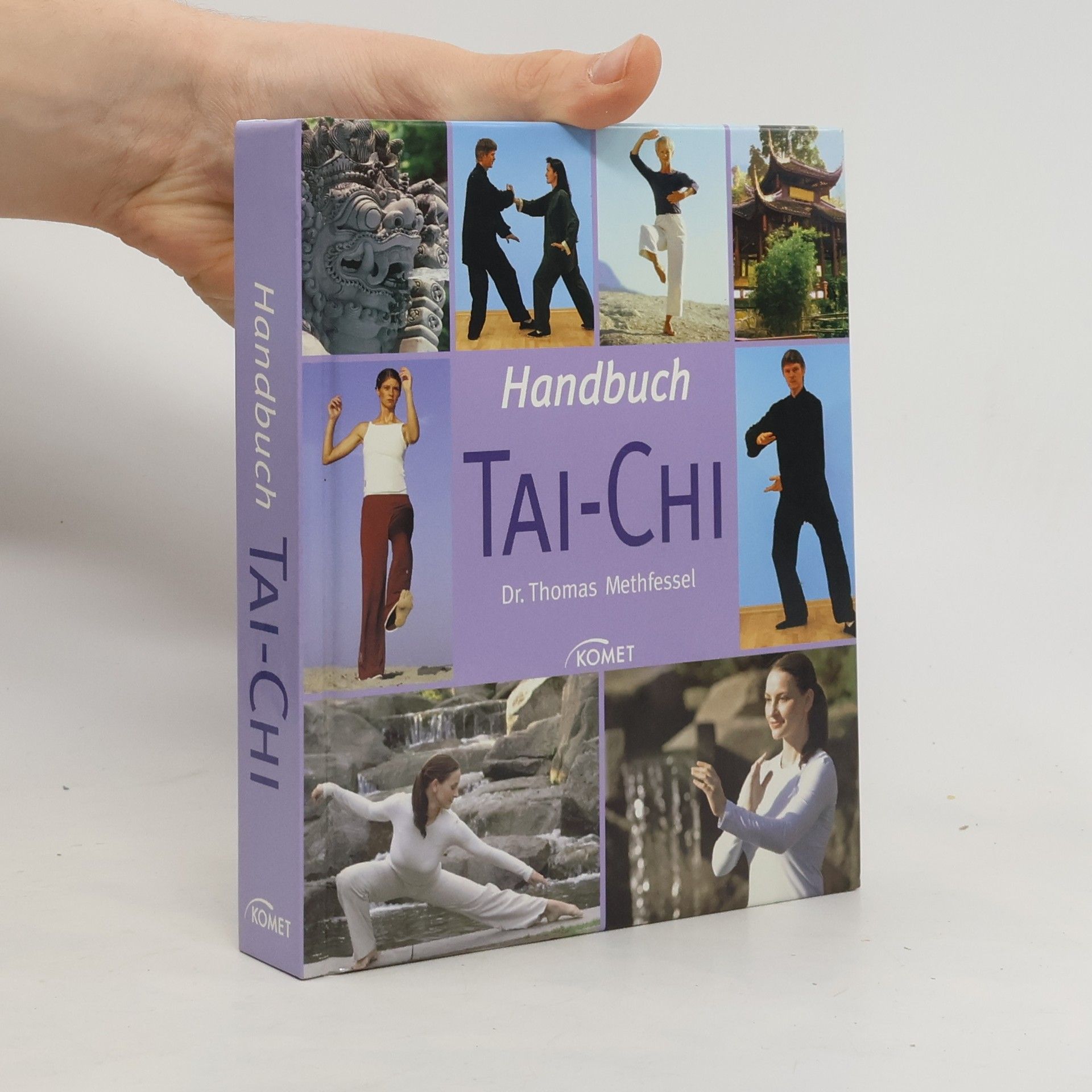 Thomas Methfessel Handbuch Tai-Chi