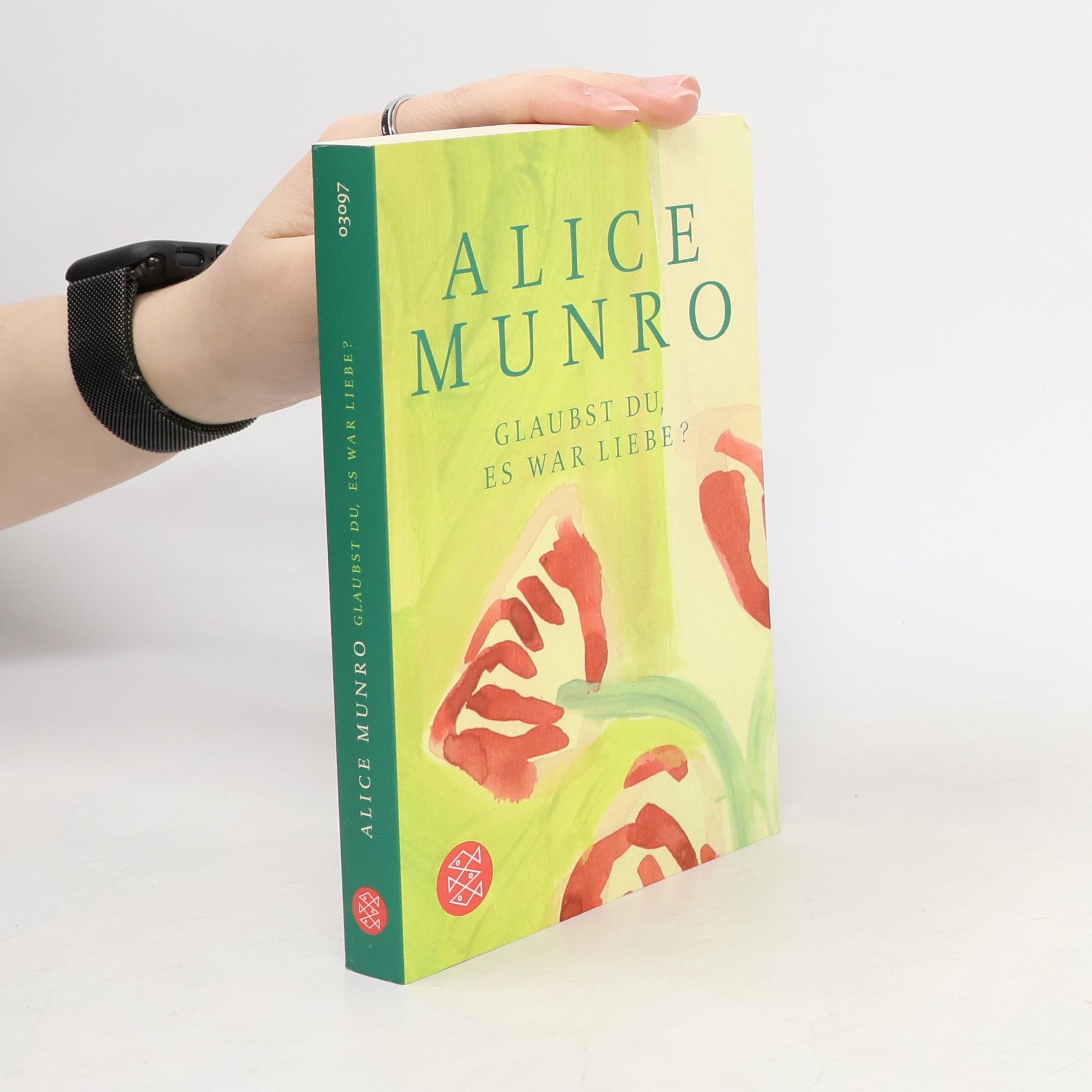 Alice Munro Glaubst du, es war Liebe?