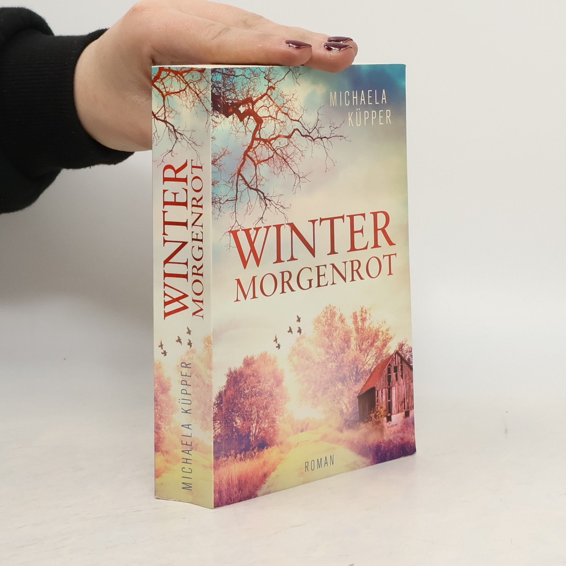 Michaela Küpper Winter Morgenrot