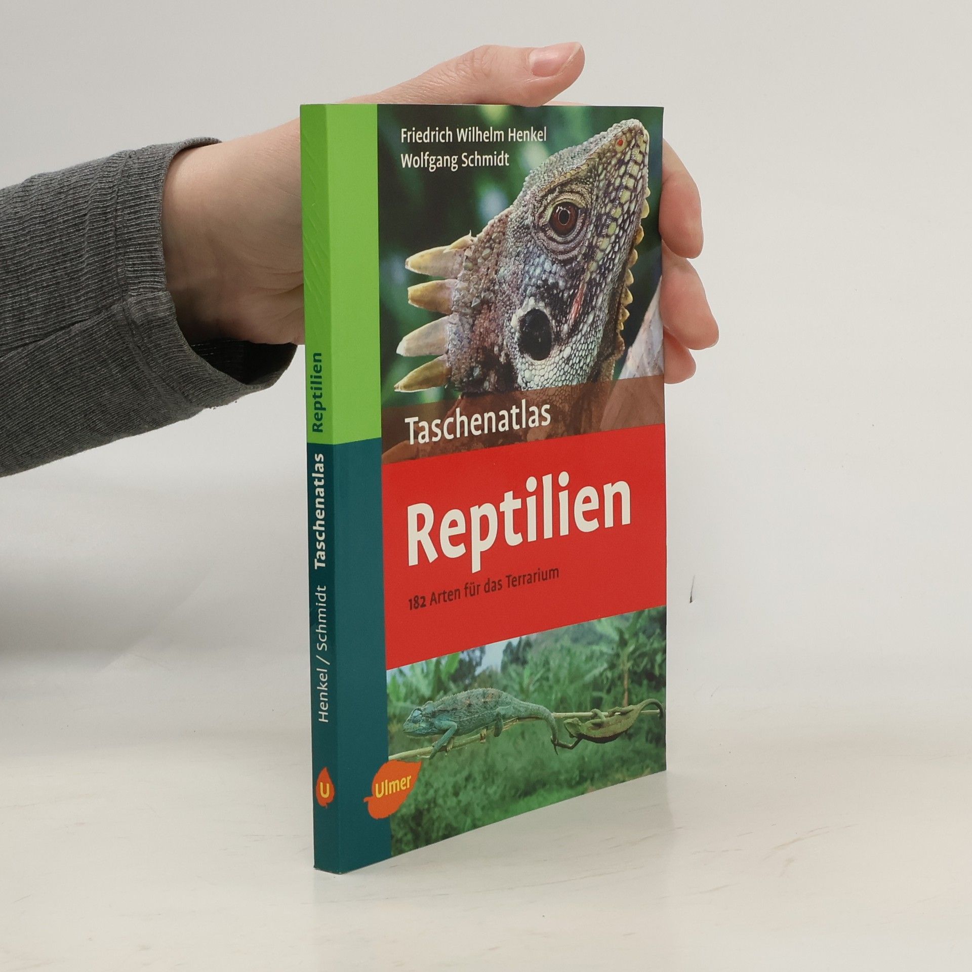 Friedrich Hofmann Taschenatlas Reptilien