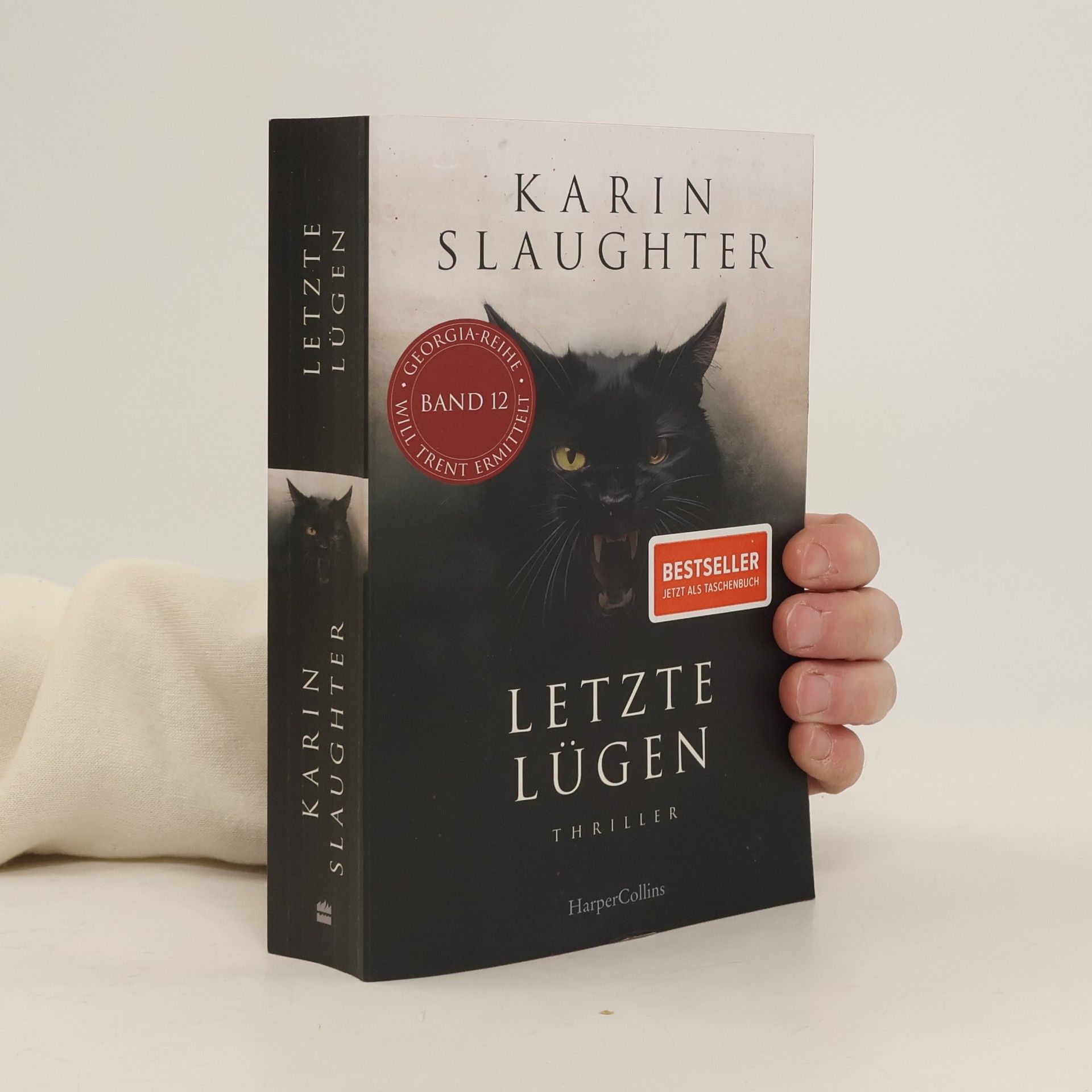 Georgia-Serie - 12: Letzte Lügen