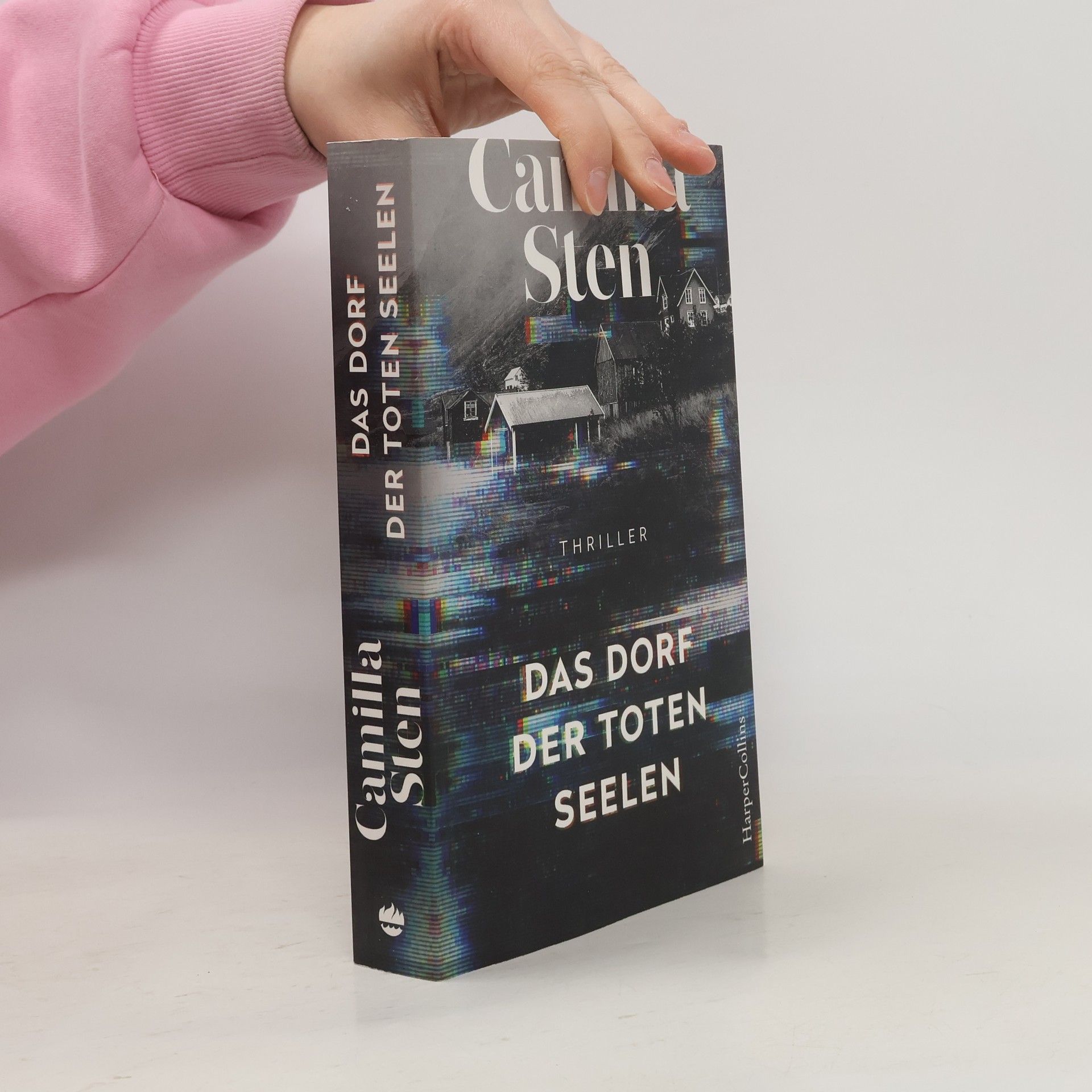 Camilla Sten Das Dorf der toten Seelen