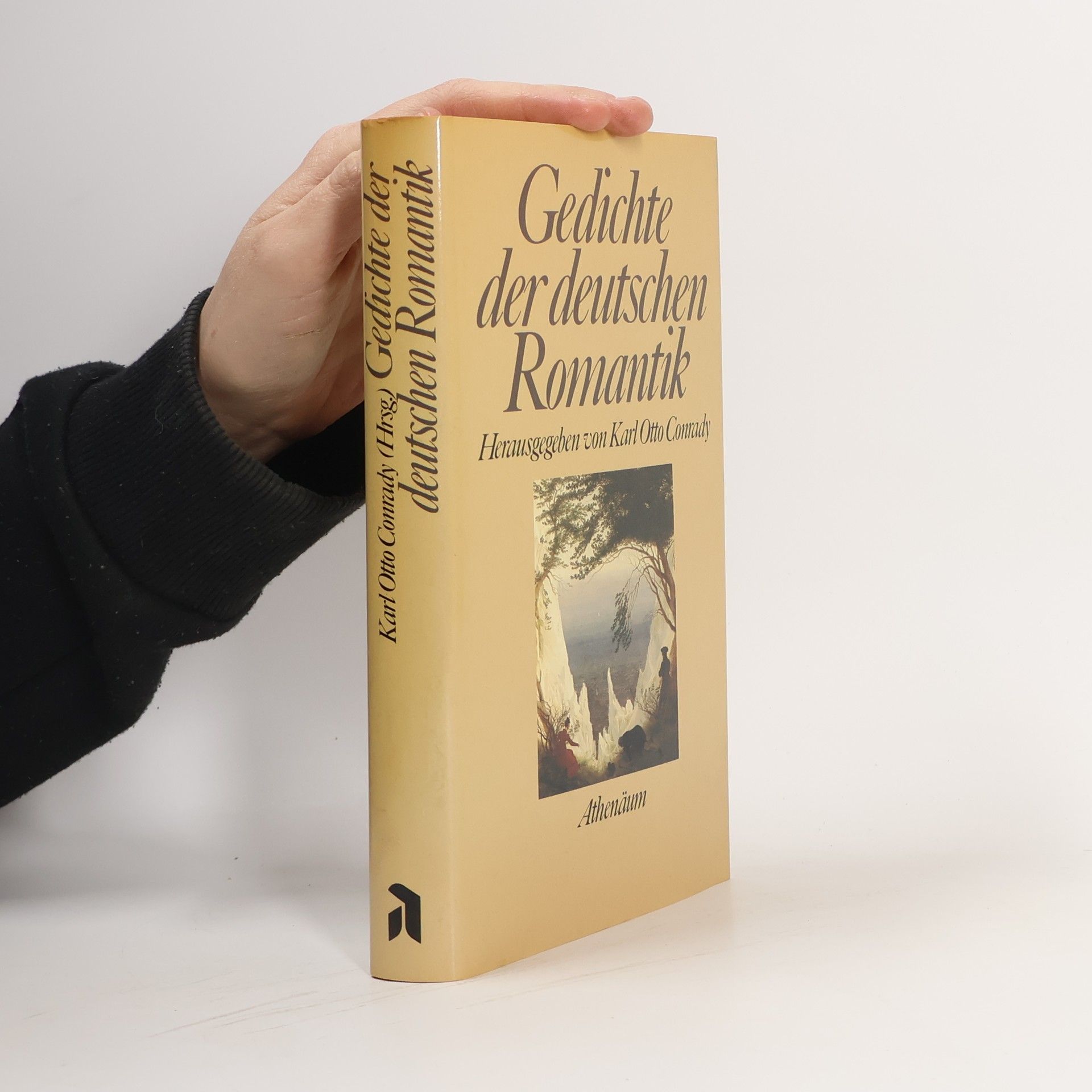 Karl Otto Conrady Gedichte der deutschen Romantik