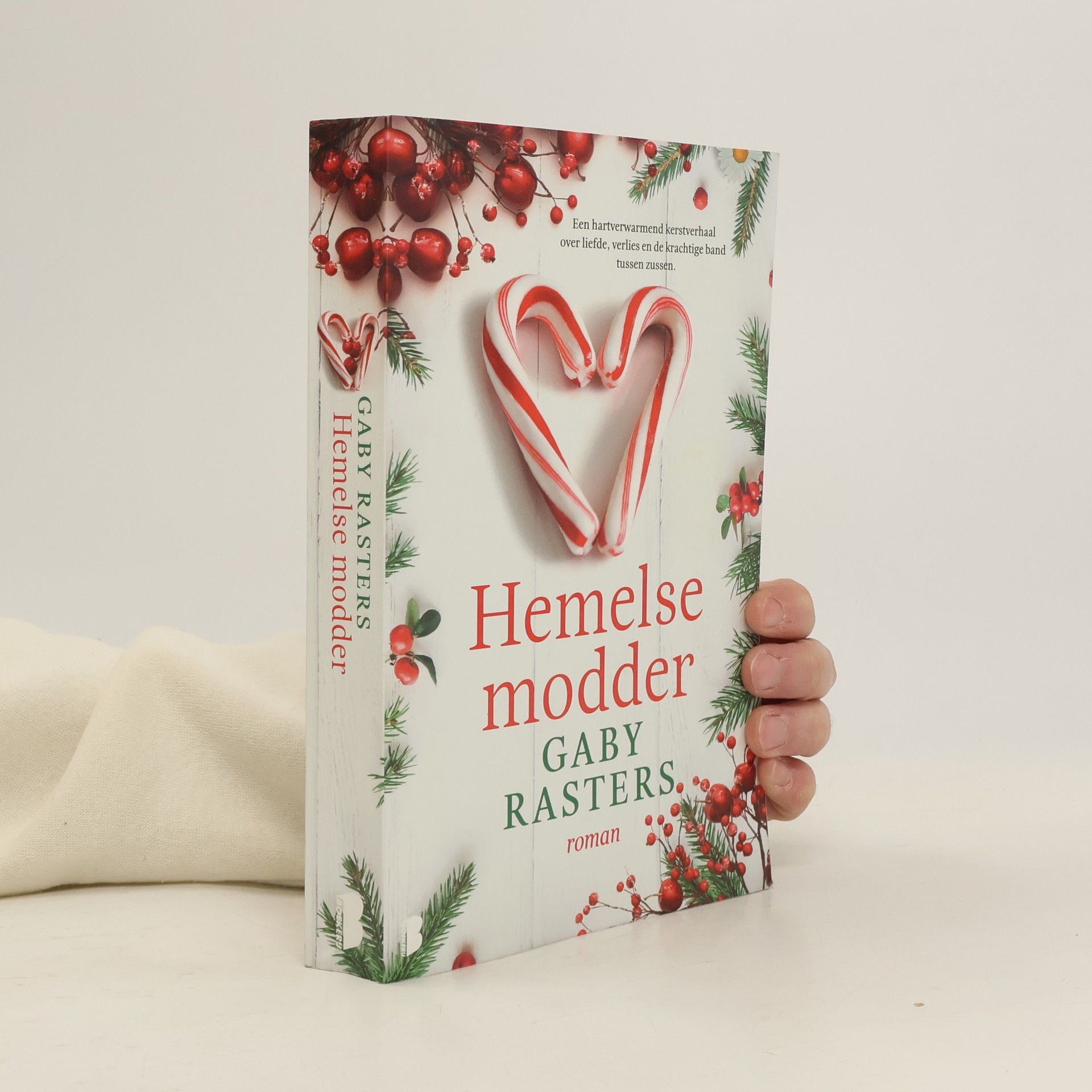 Gaby Rasters Hemelse modder