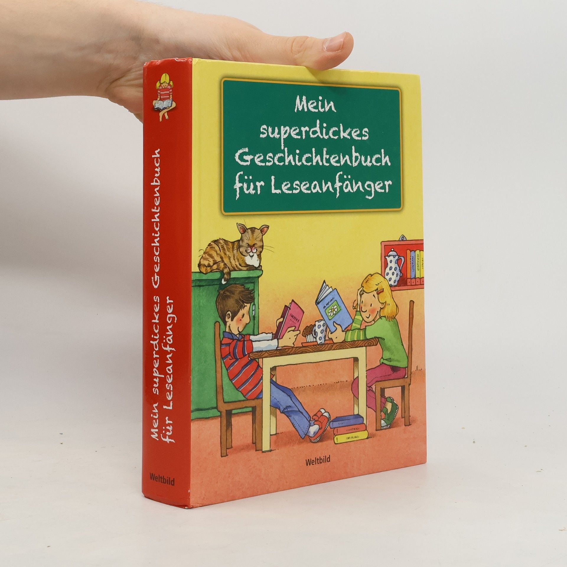 Autorenkollektiv Mein superdickes Geschichtenbuch für Leseanfänger