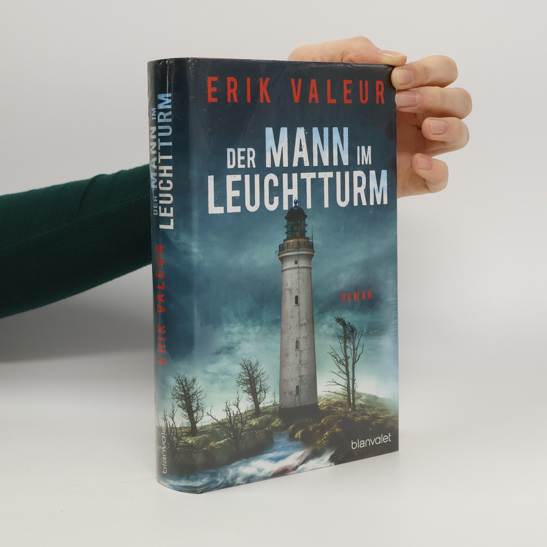 Erik Valeur Der Mann im Leuchtturm