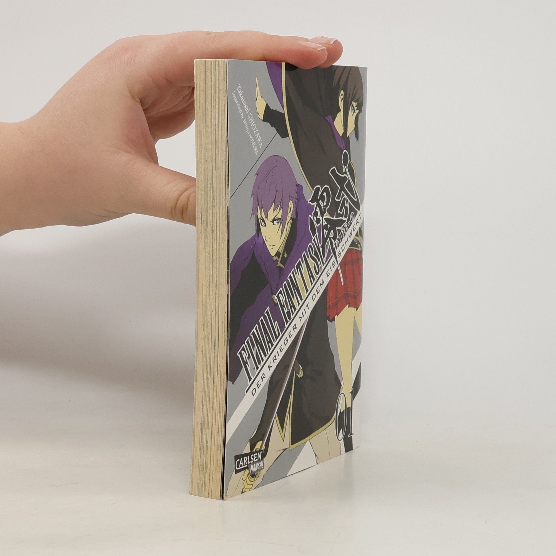 Takatoshi Shiozawa Final fantasy type-0 Der Krieger mit dem Eisschwert