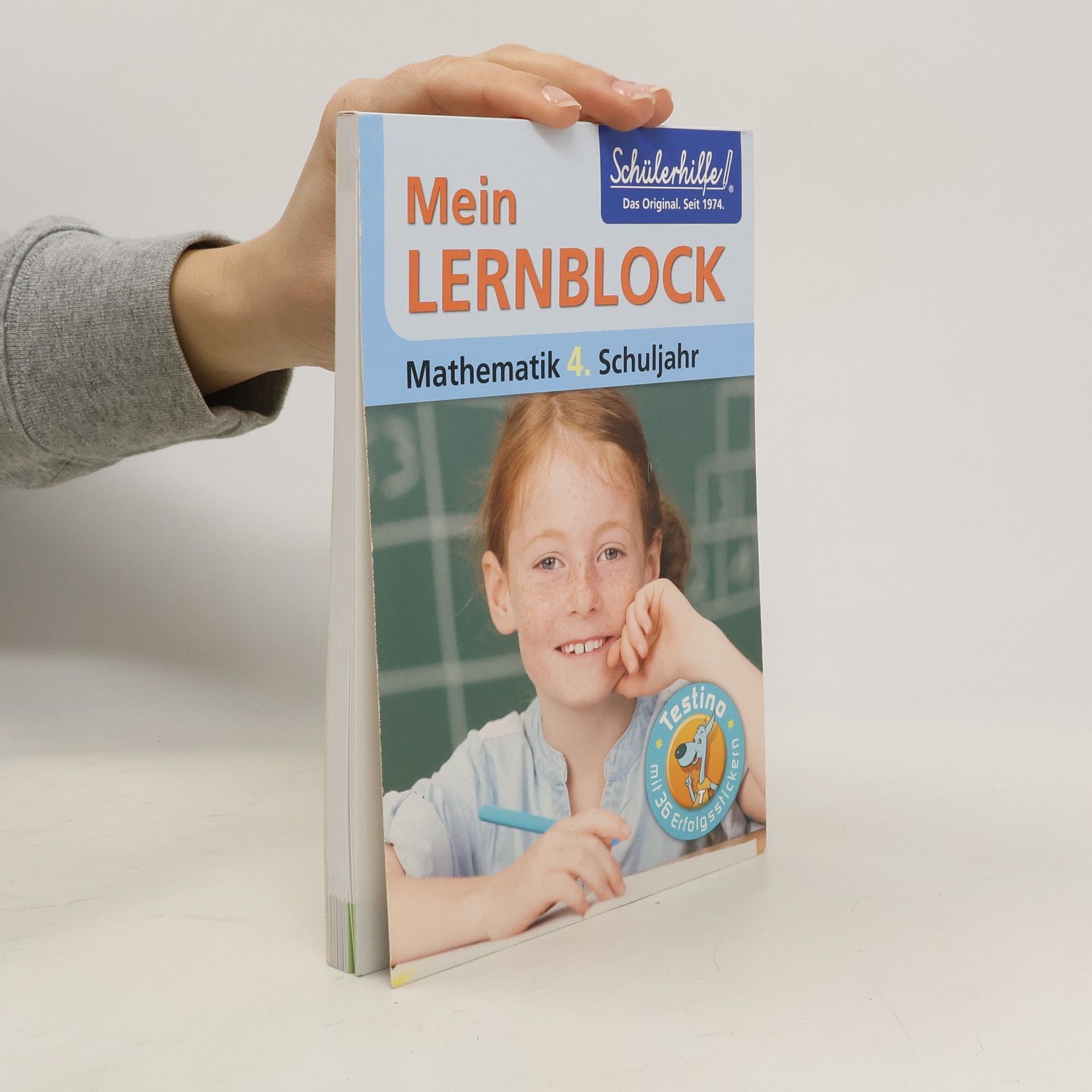 Autorenkollektiv Mein Lernblock. Mathematik 4. Schuljahr