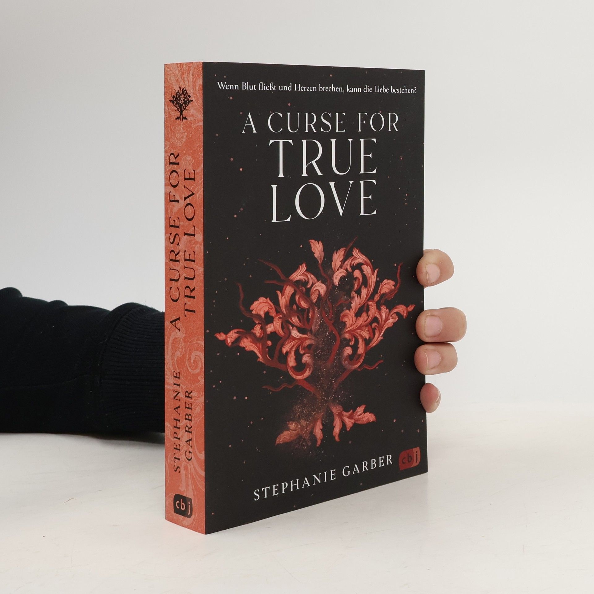 Stephanie Garber A Curse for True Love