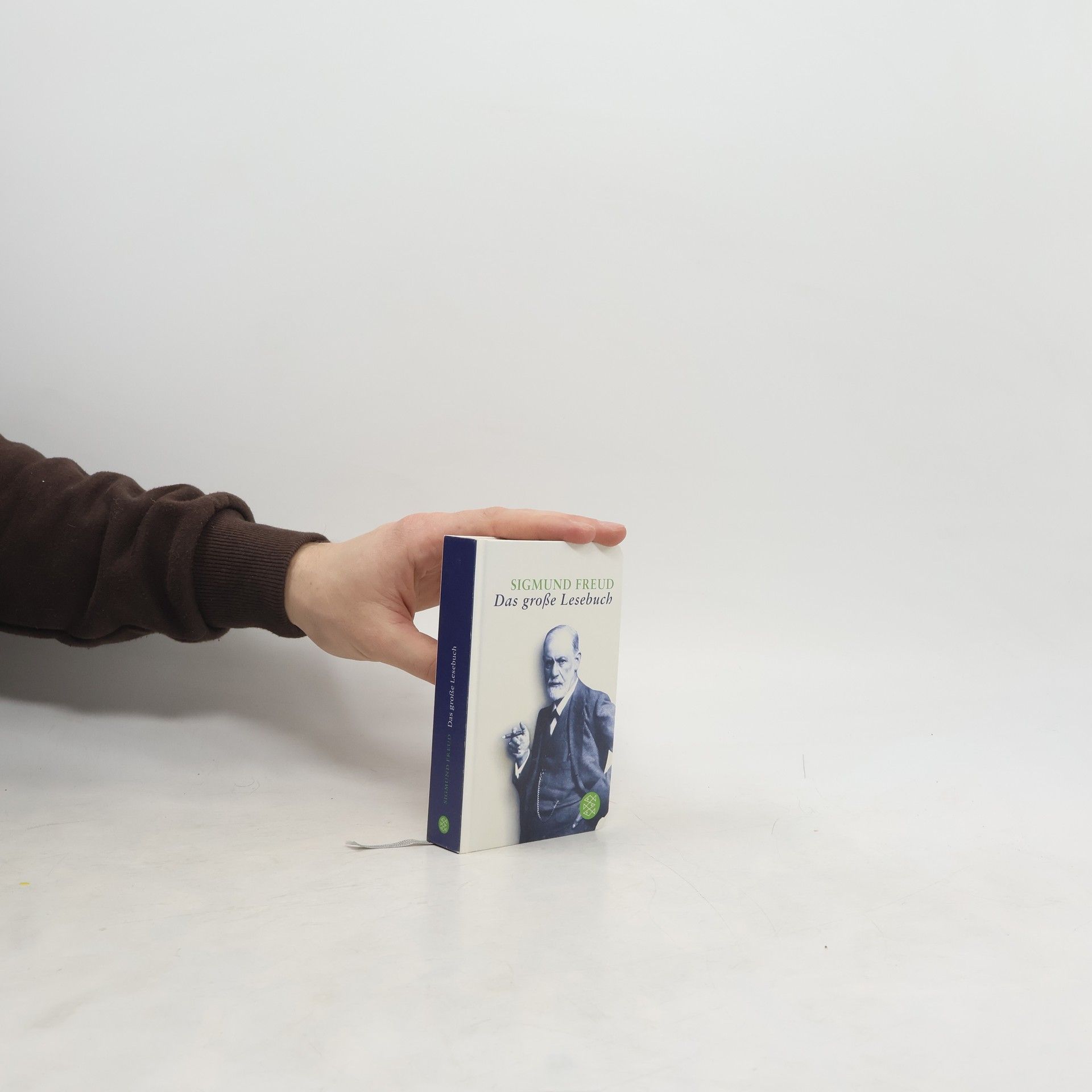 Sigmund Freud Das große Lesebuch