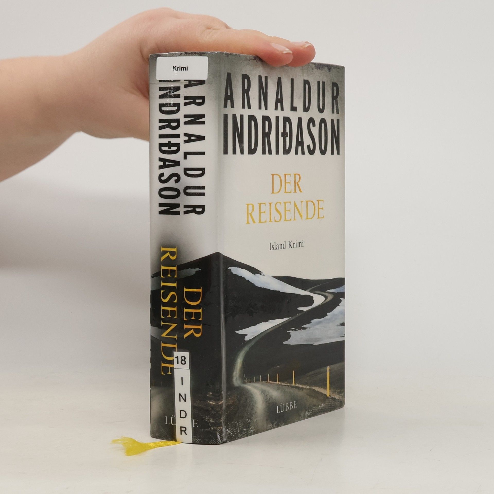 Arnaldur Indriðason Der Reisende