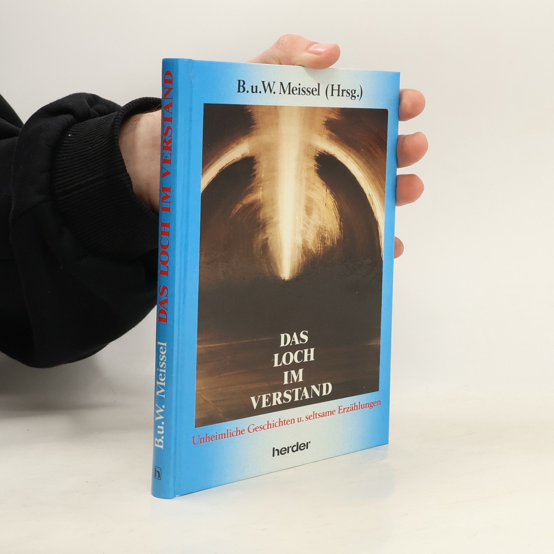 Brigitte Meissel Das Loch im Verstand