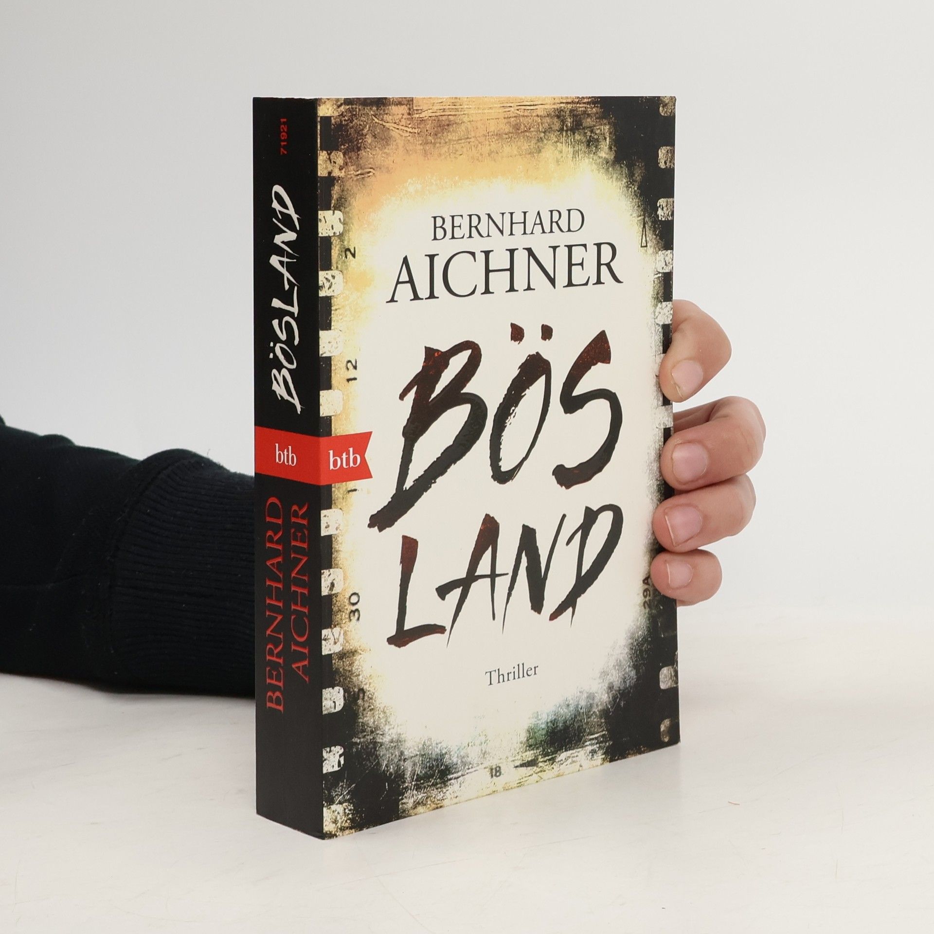 Bernhard Aichner Bösland