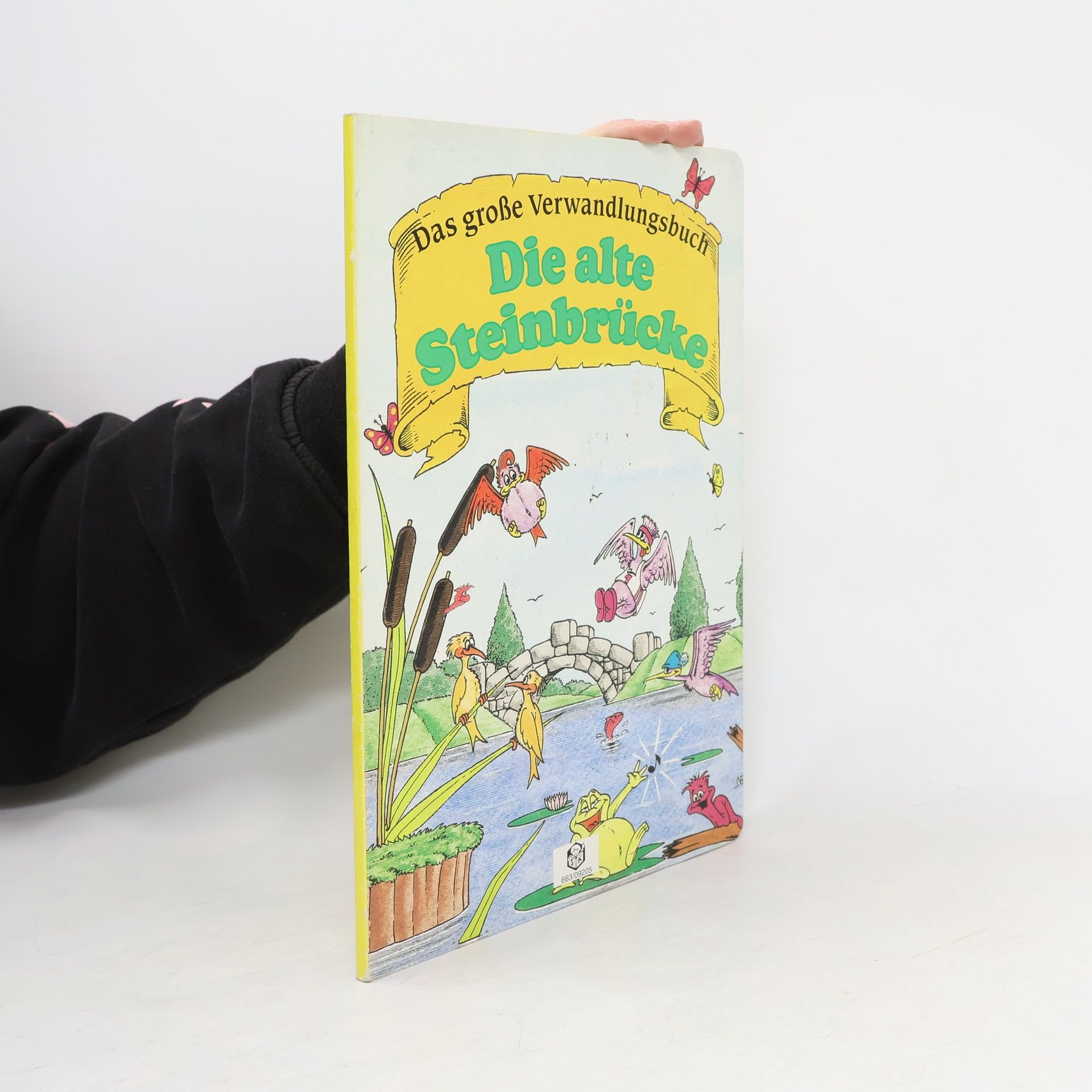 Collectif d'auteurs Das große Verwandlungsbuch