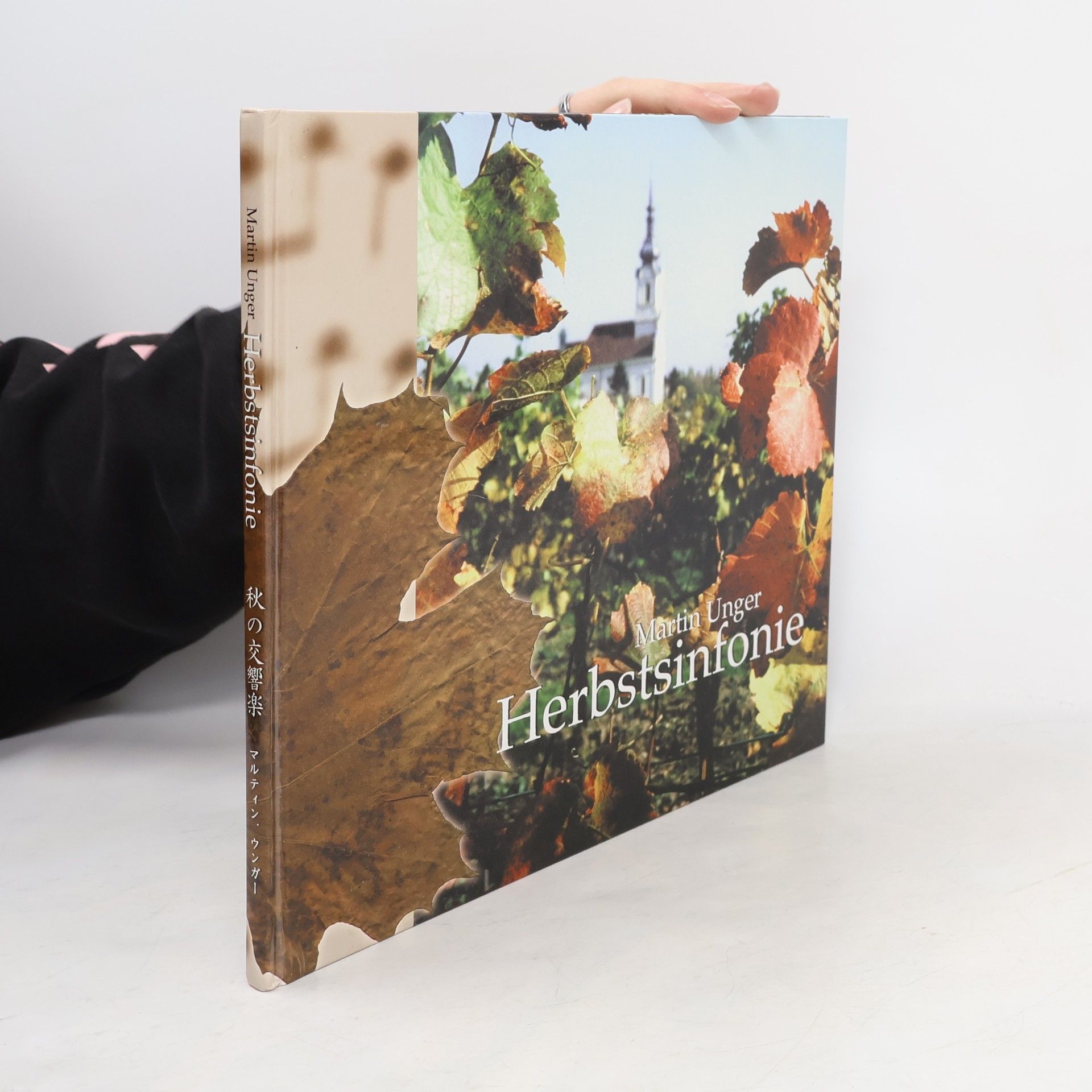 Martin Unger Herbstsinfonie
