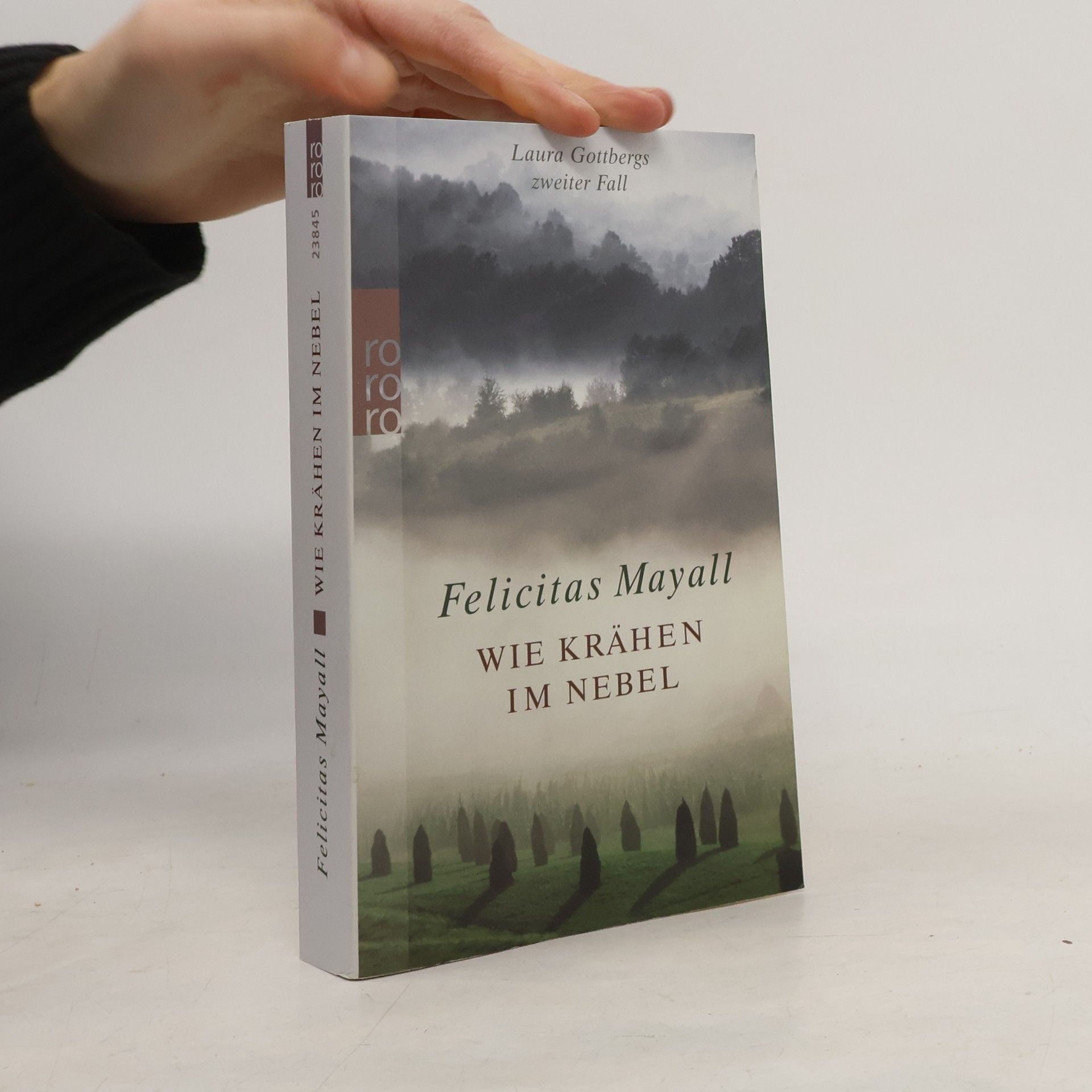 Felicitas Mayall Wie Krähen im Nebel