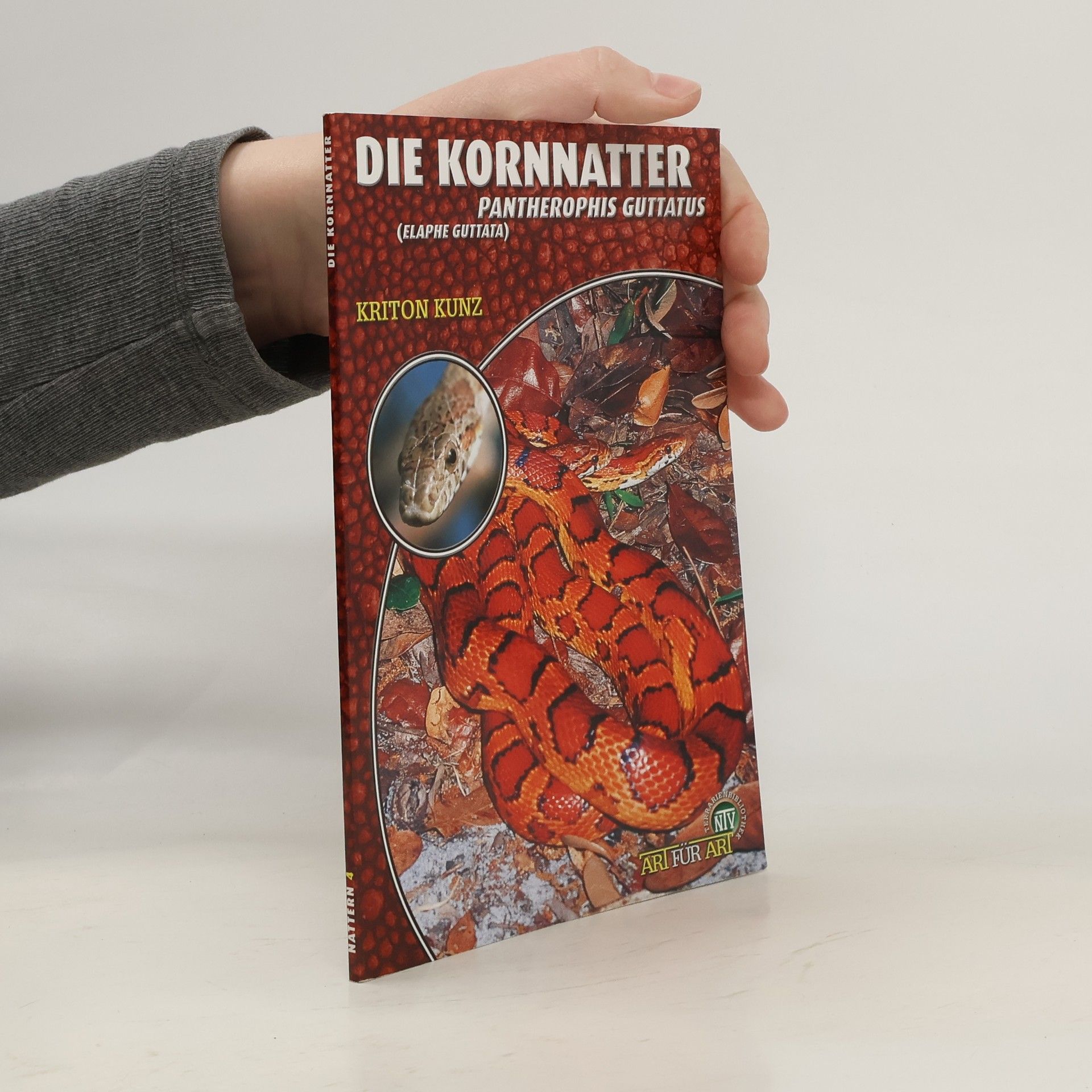Die Kornnatter