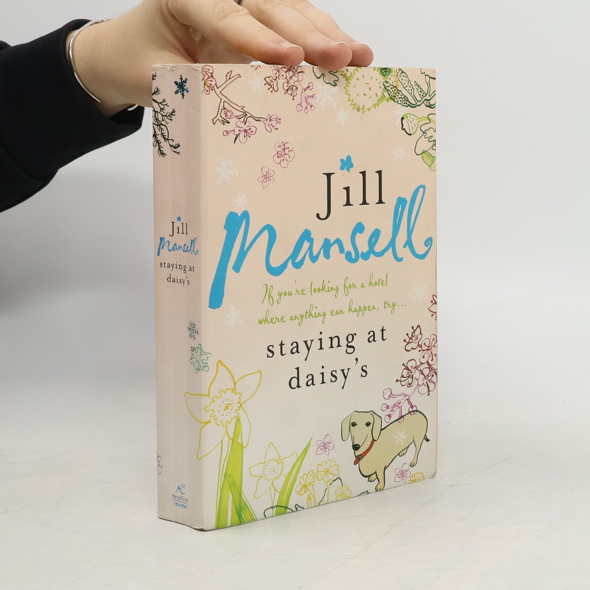 Jill Mansell Staying at Daisy's