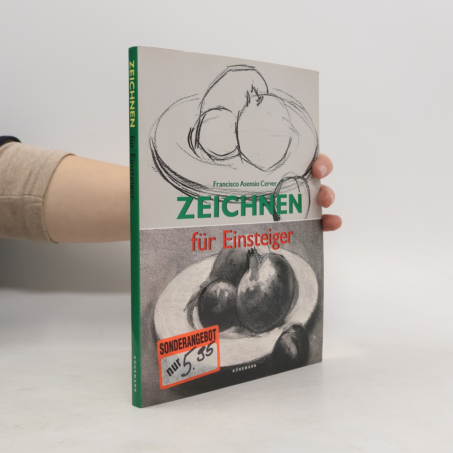 Francisco Asensio Cerver Zeichnen für Einsteiger