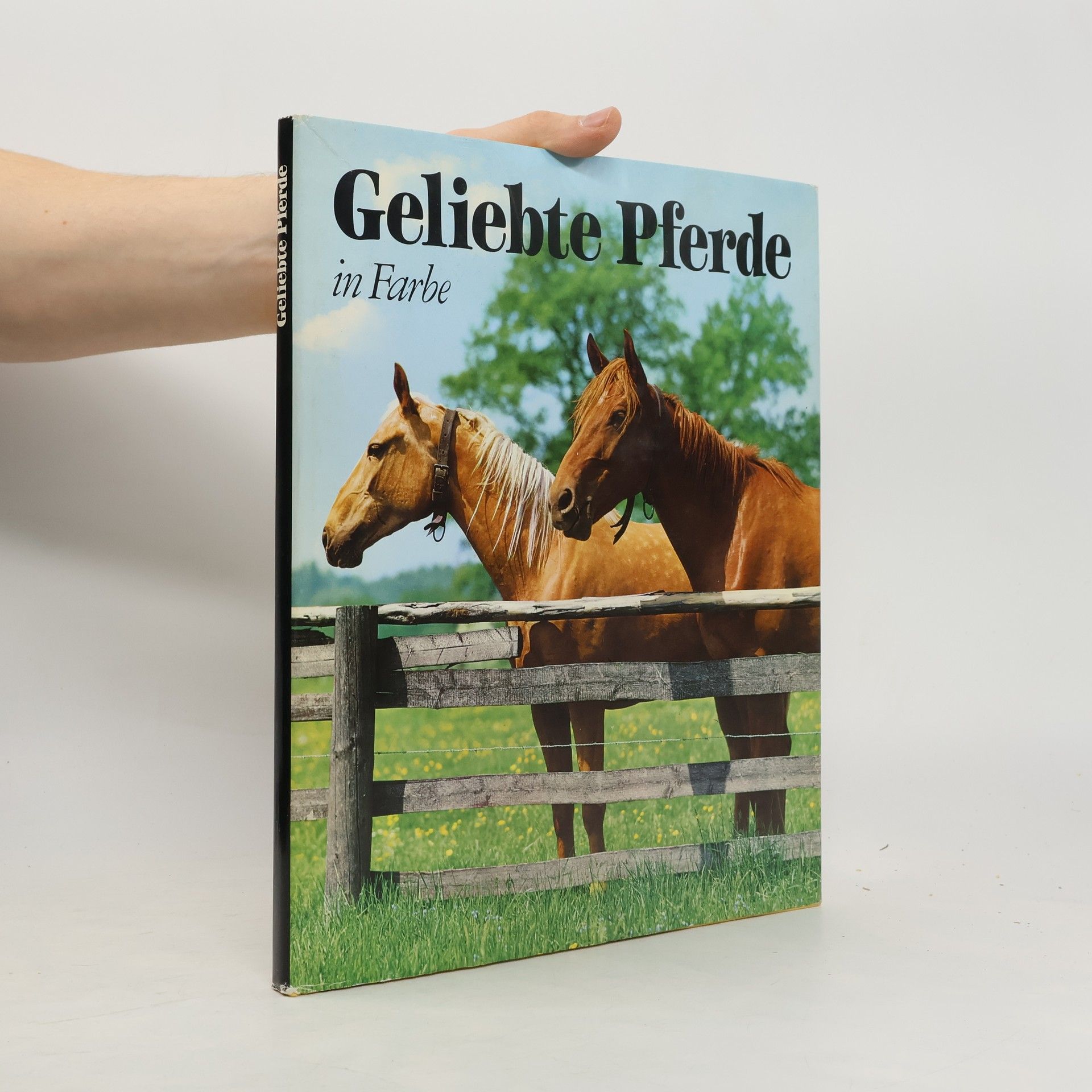 Collectif d'auteurs Geliebte Pferde in Farbe