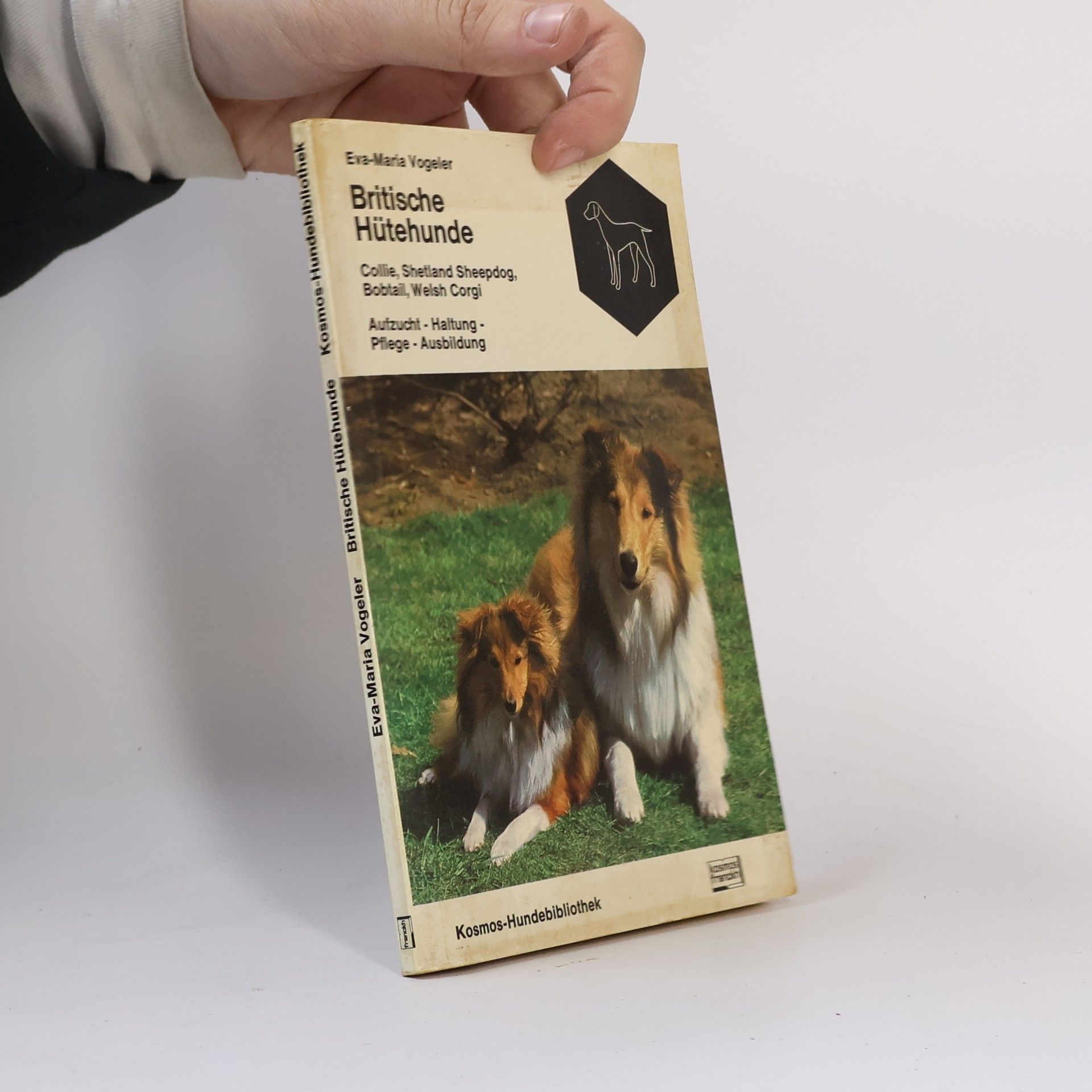 Eva Maria Krämer Britische Hütehunde