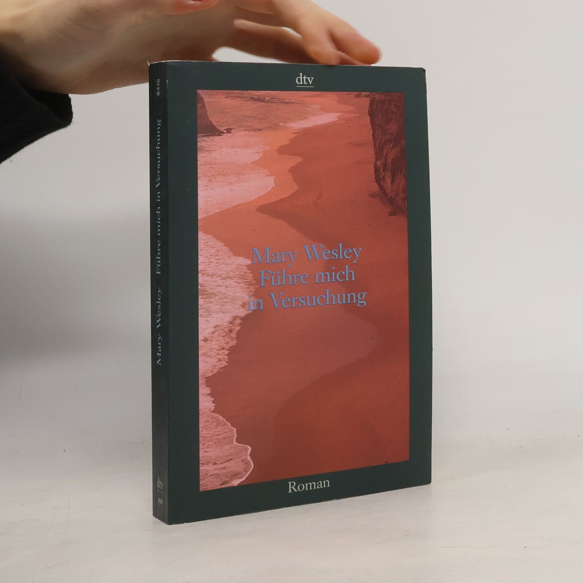 Mary Wesley Führe mich in Versuchung