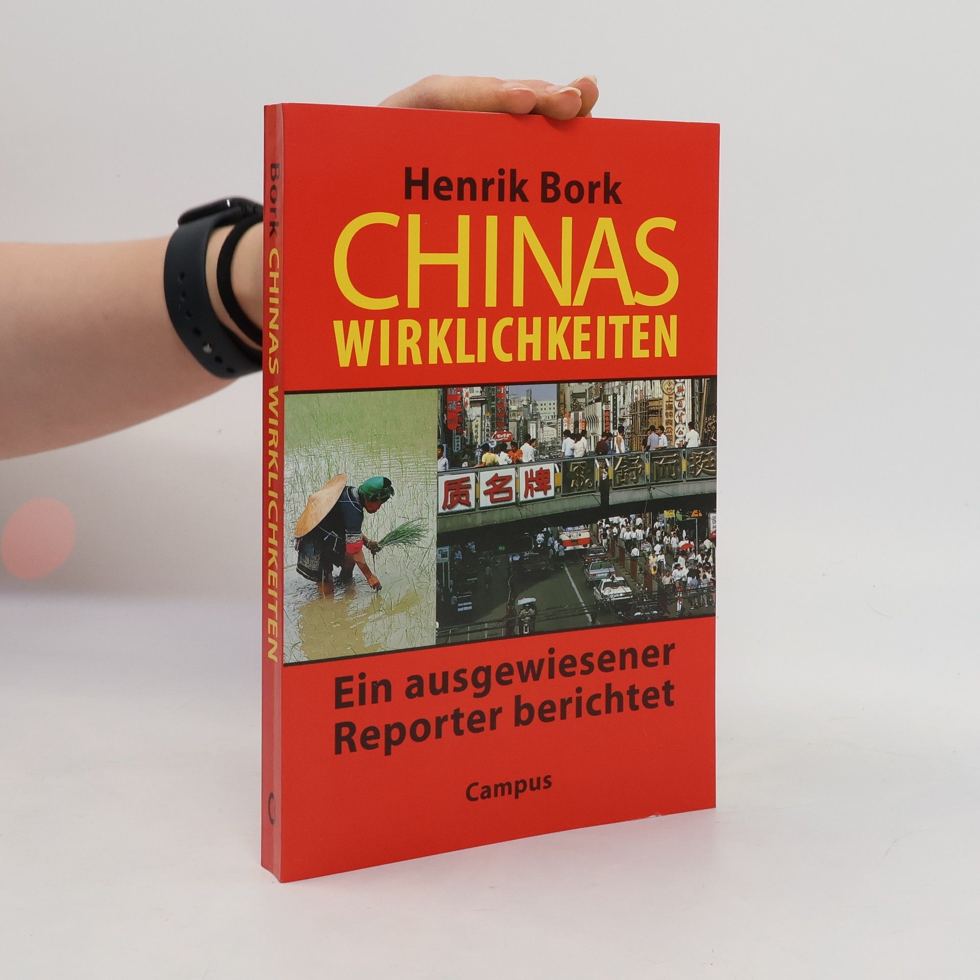 Henrik Bork Chinas Wirklichkeiten