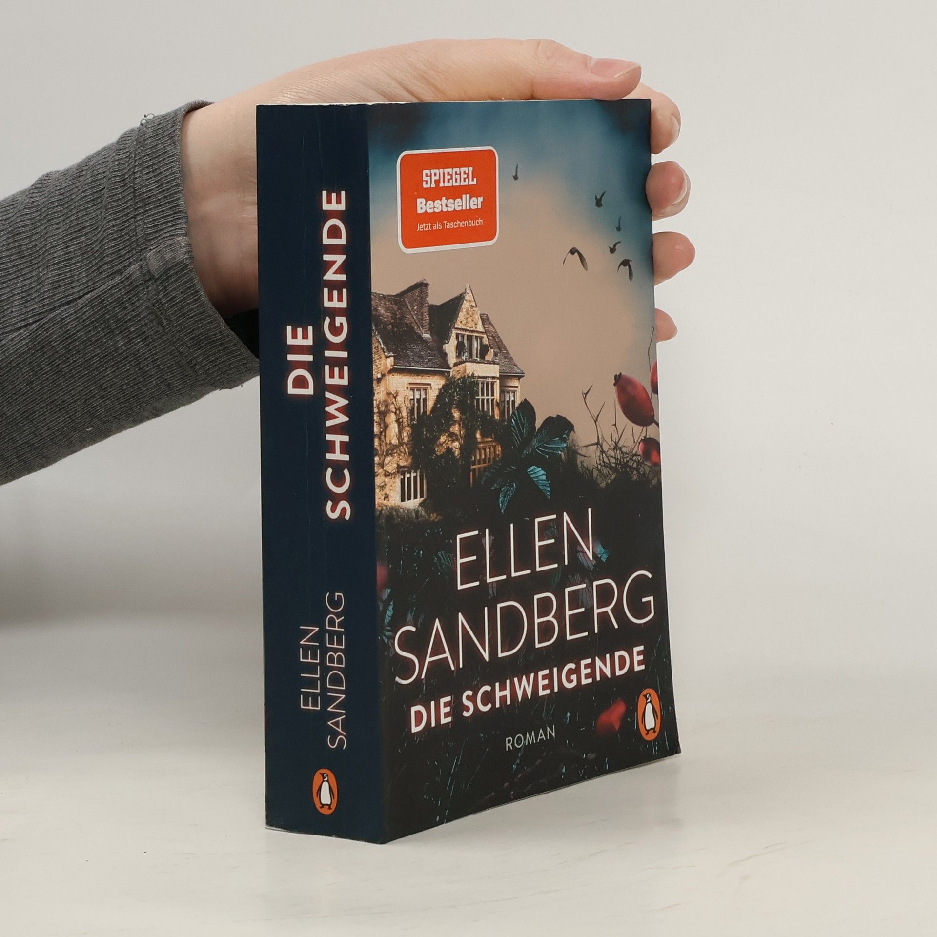 Ellen Sandberg Die Schweigende