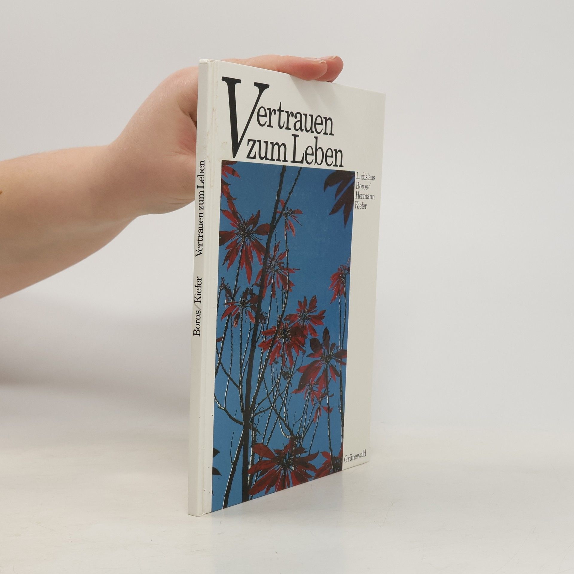 Ladislav Boros Vertrauen zum Leben