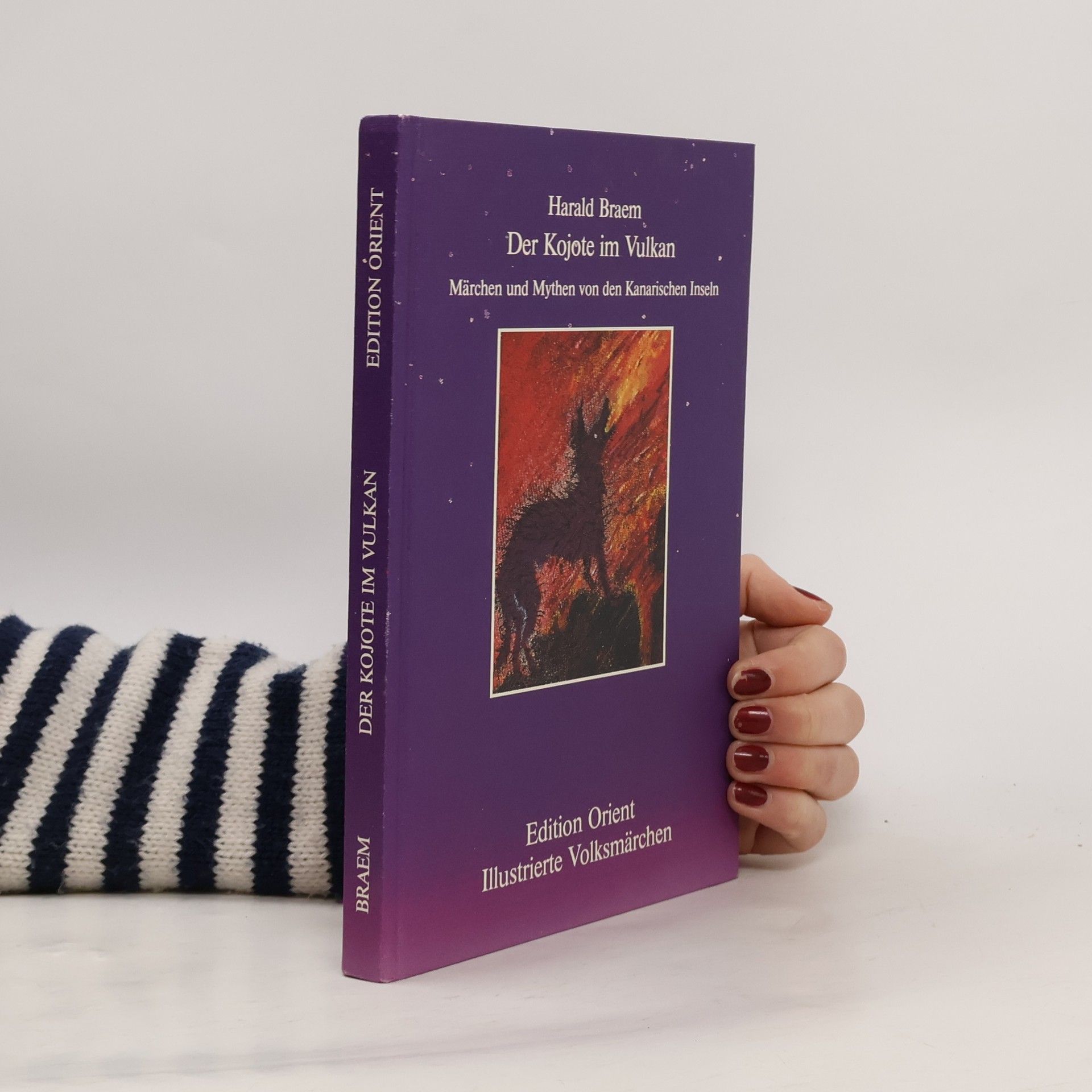 Harald Braem Der Kojote im Vulkan