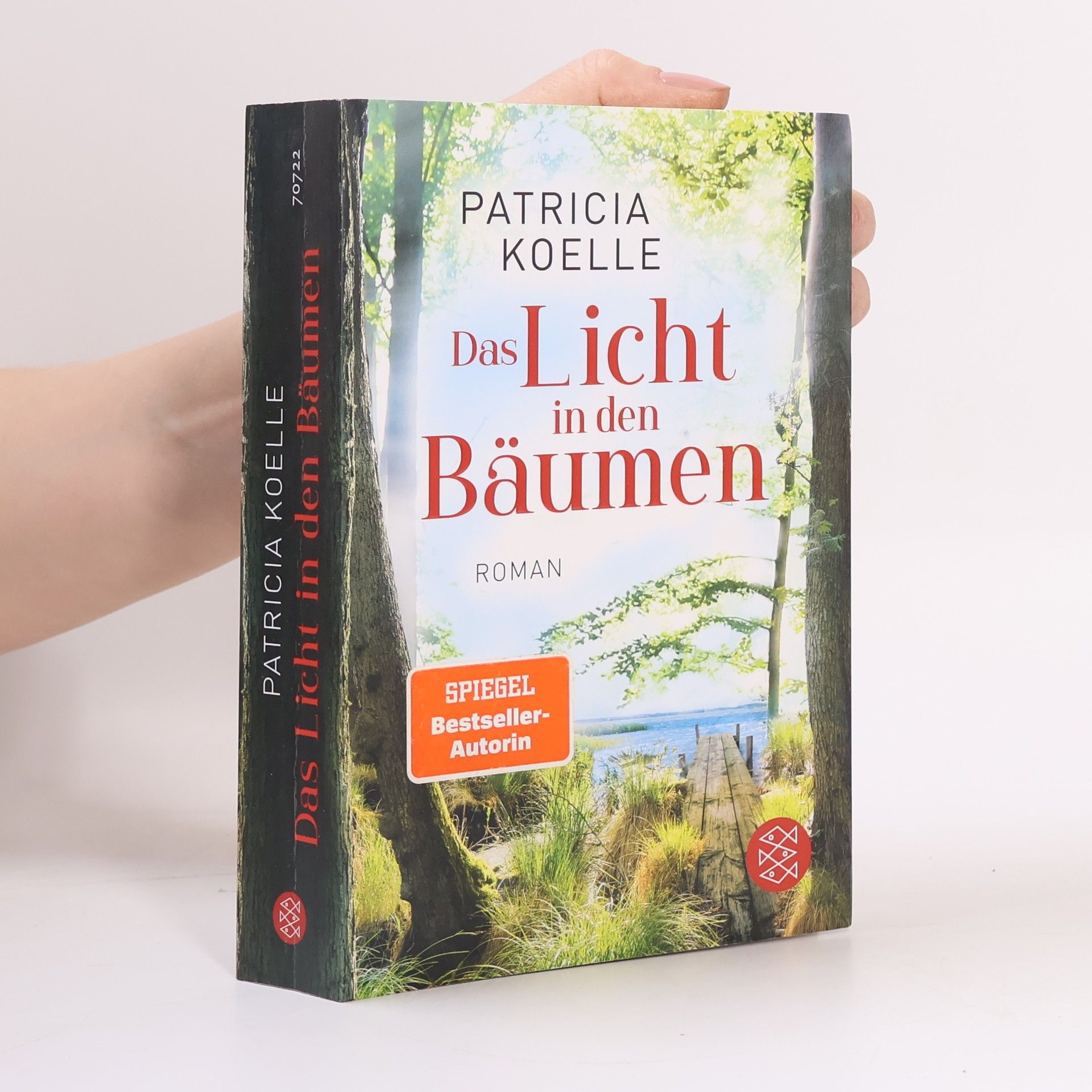 Patricia Koelle Das Licht in den Bäumen