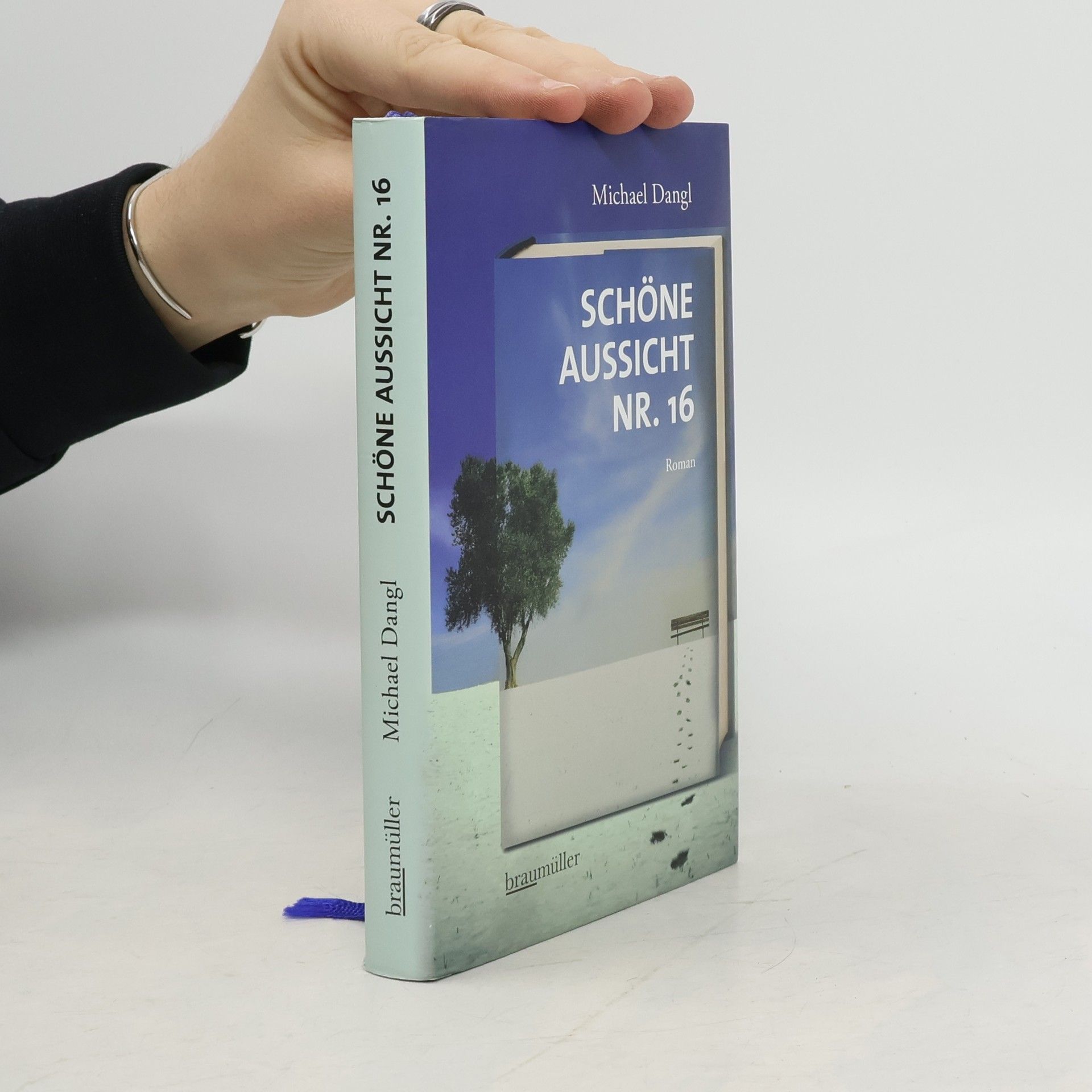 Michael Dangl Schöne Aussicht Nr. 16