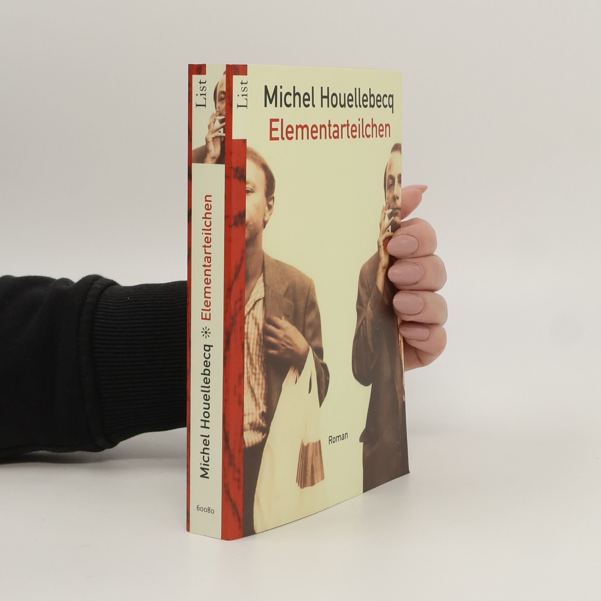 Michel Houellebecq Elementarteilchen
