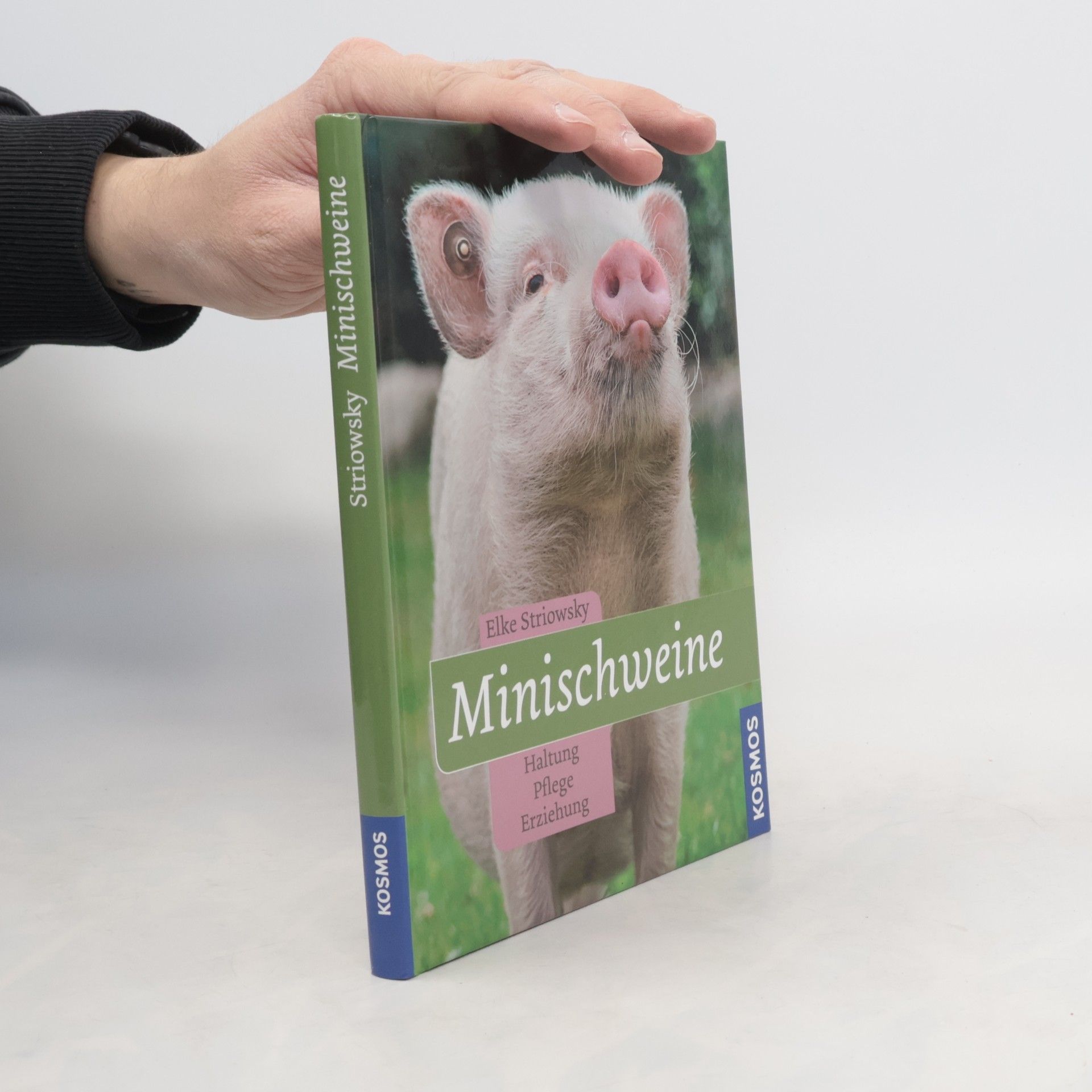 Elke Striowsky Minischweine