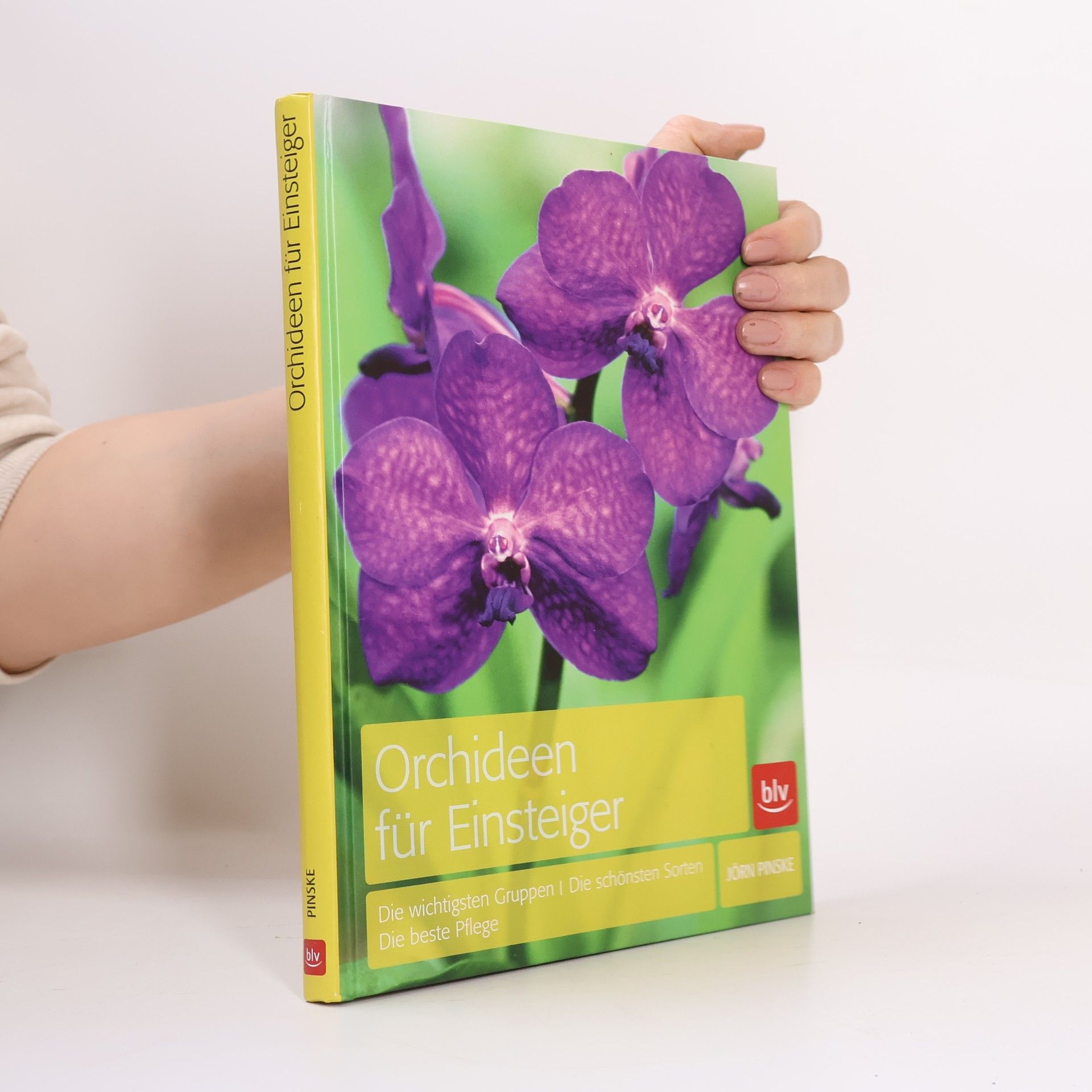 Jörn Pinske Orchideen für Einsteiger