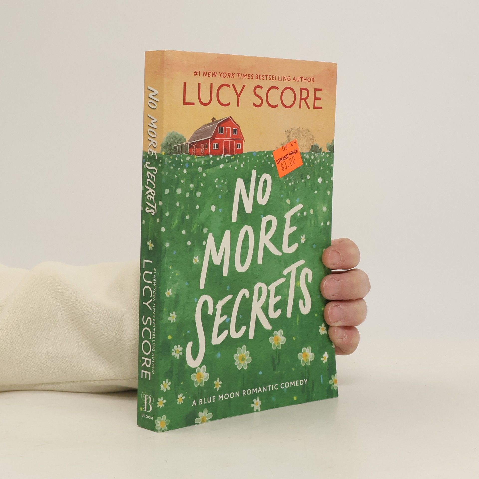 Lucy Score No More Secrets