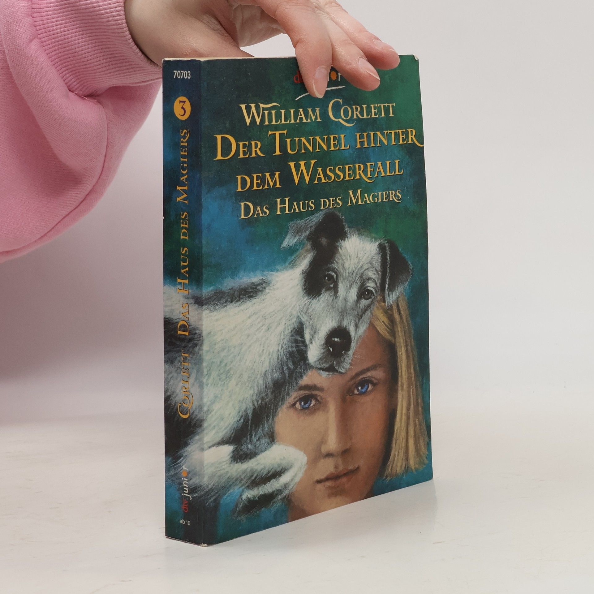 William Corlett Der Tunnel hinter dem Wasserfall