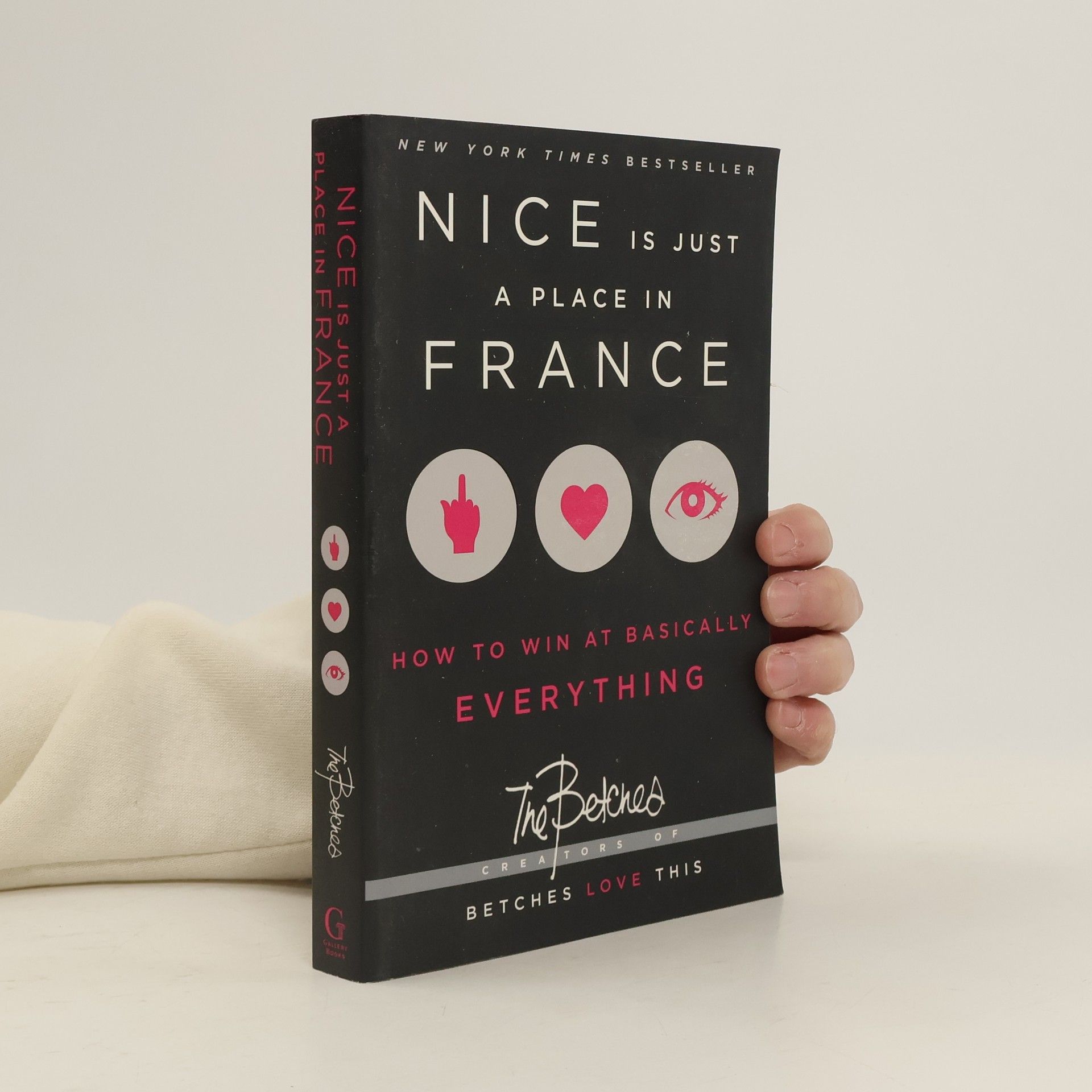 Autorenkollektiv Nice is just a place in France : how to win at basically everything