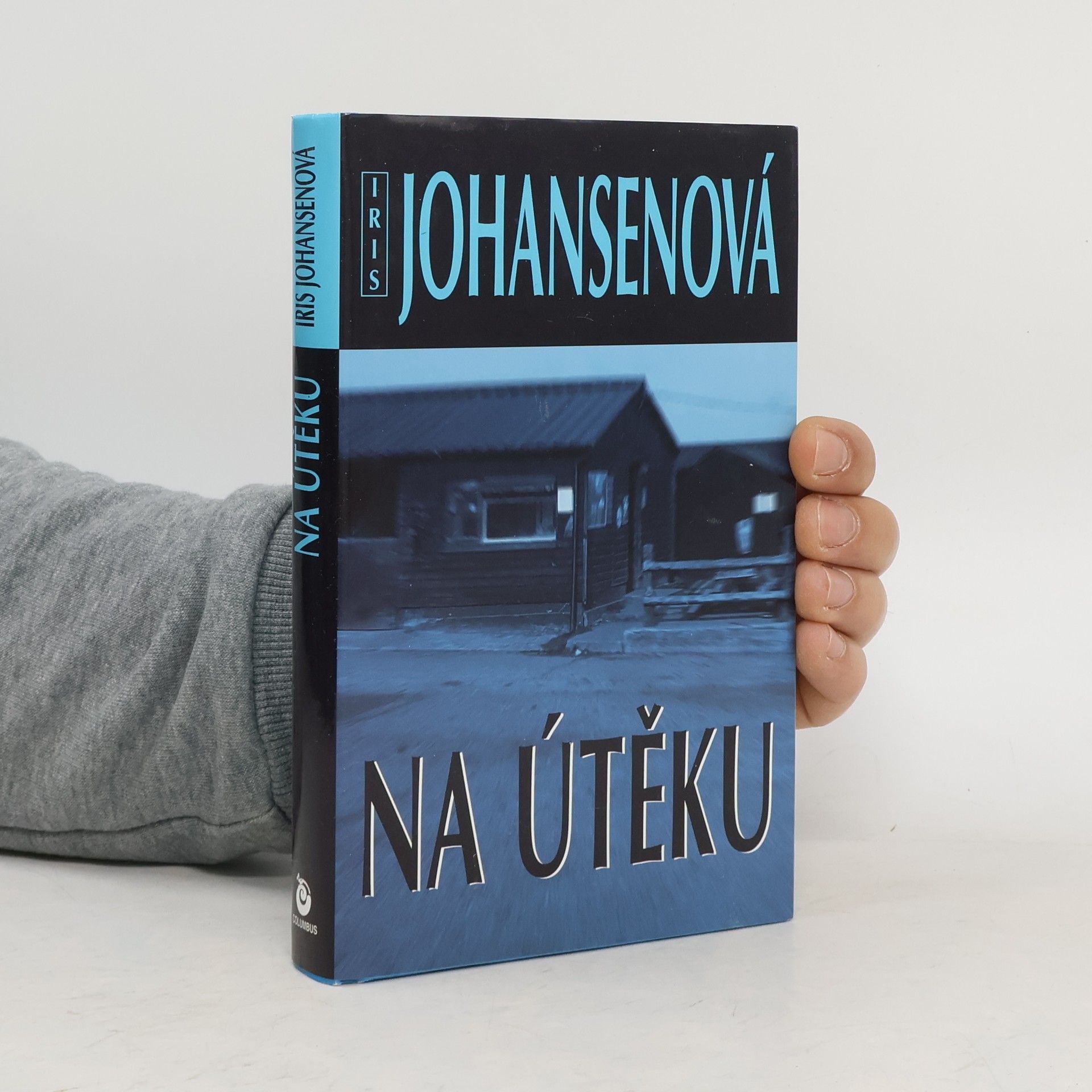 Iris Johansen Na útěku