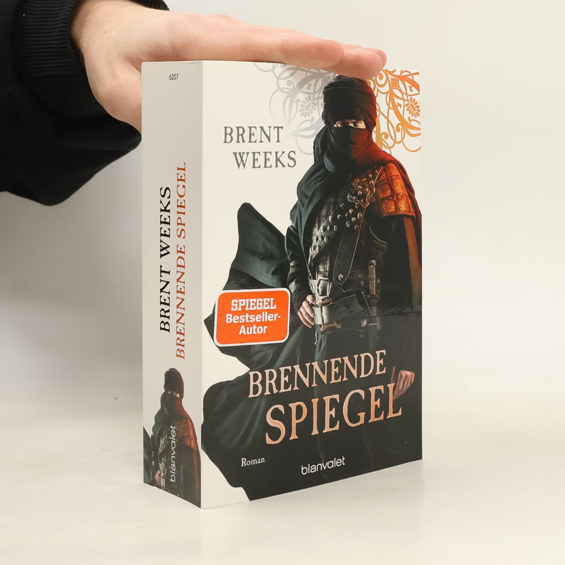Brennende Spiegel. Roman