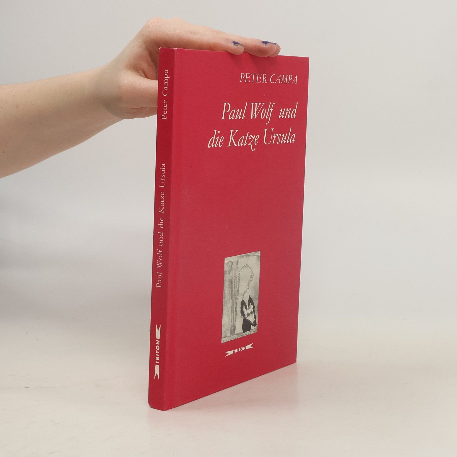 Peter Campa Paul Wolf und die Katze Ursula