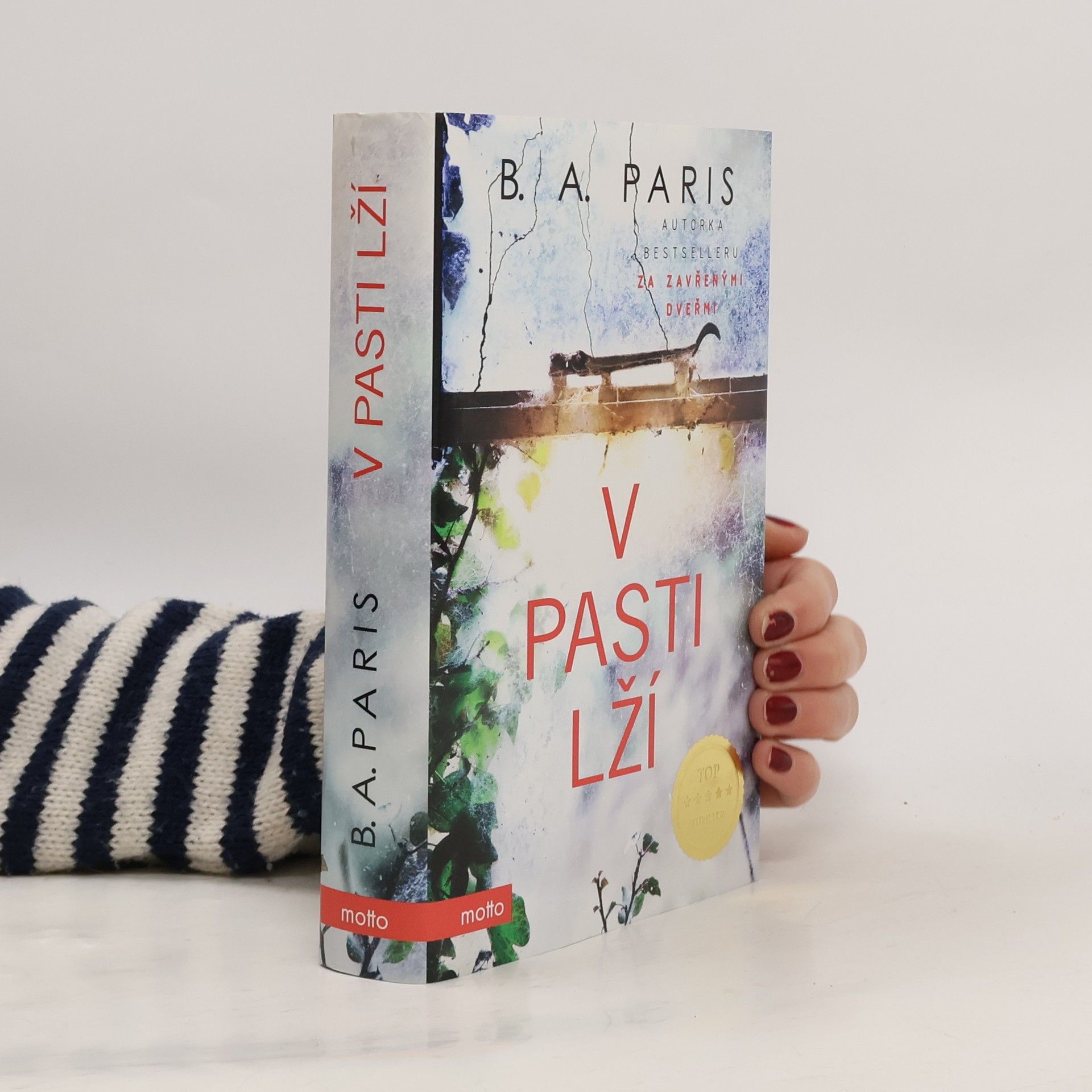 B. A. Paris V pasti lží