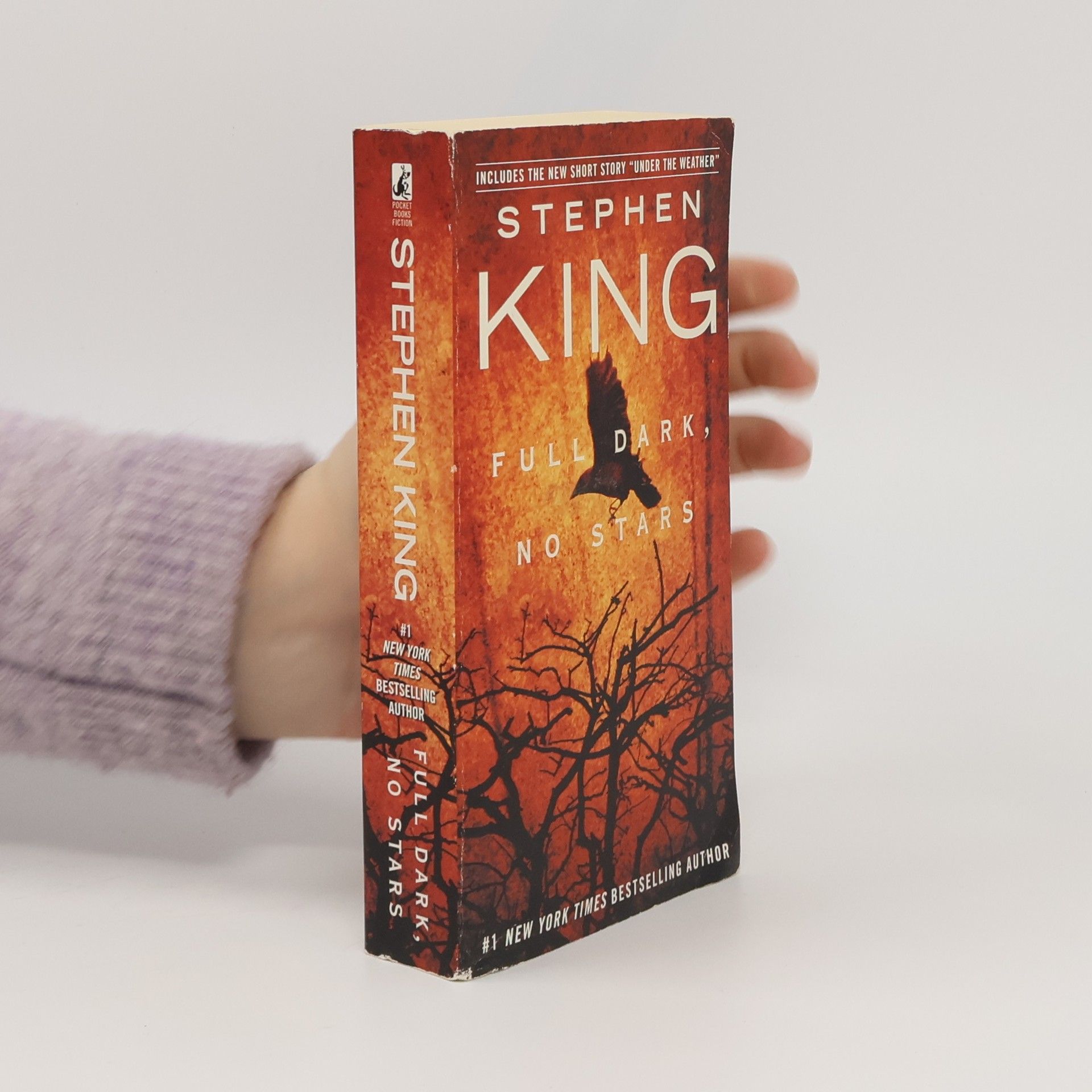Stephen King Full Dark, No Stars